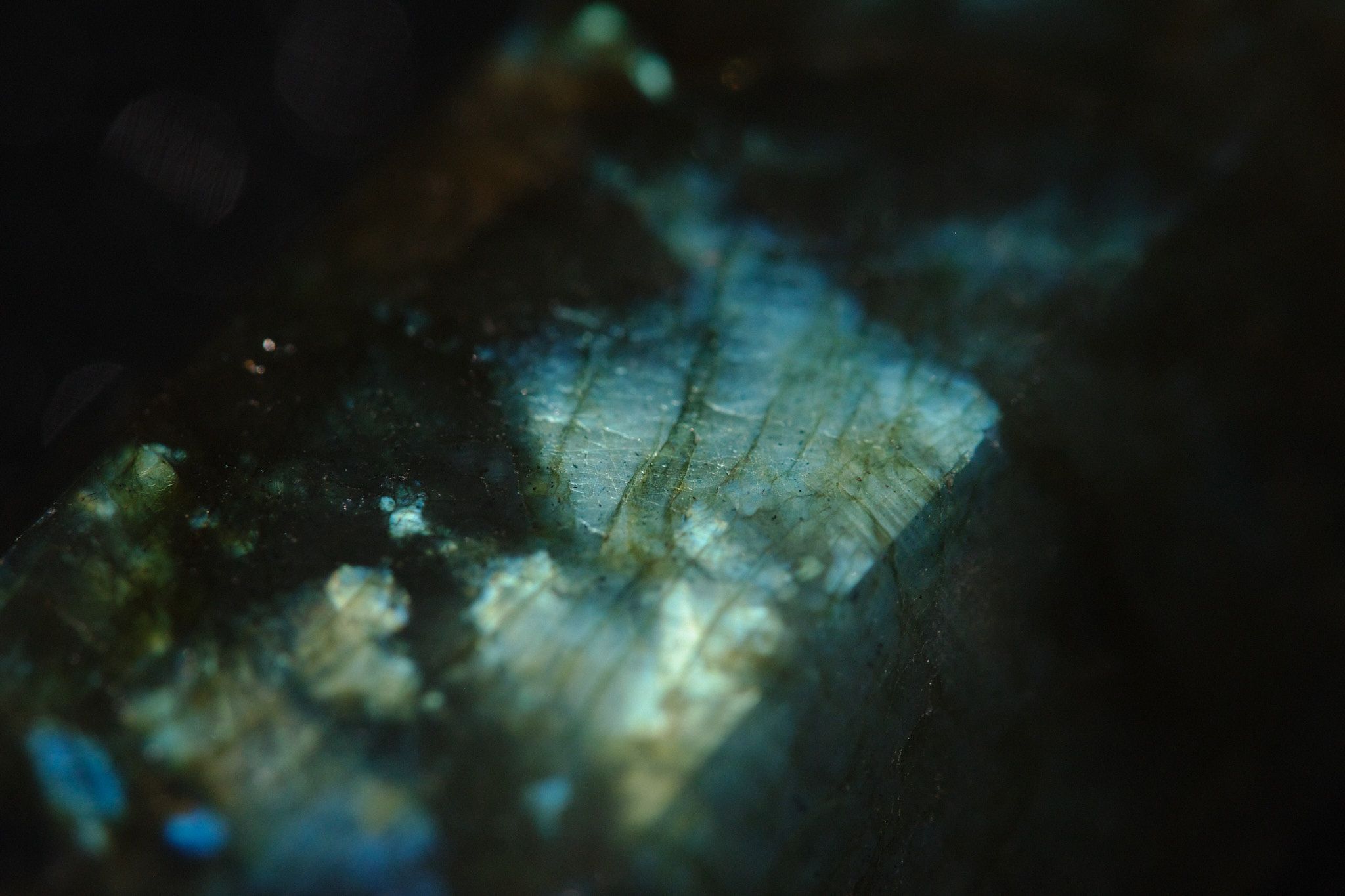 DSCF9195.jpg