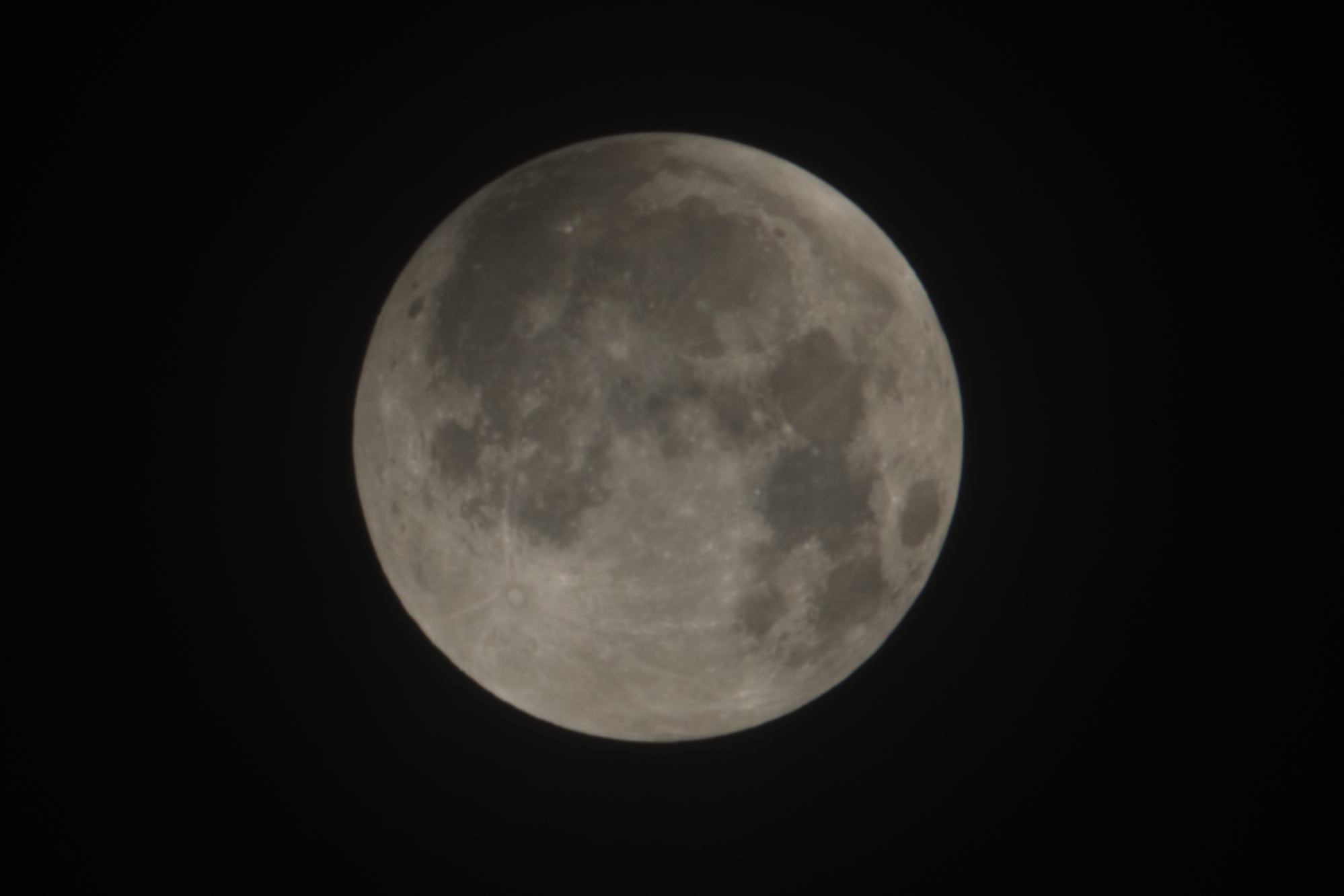 DSCF9355.jpg