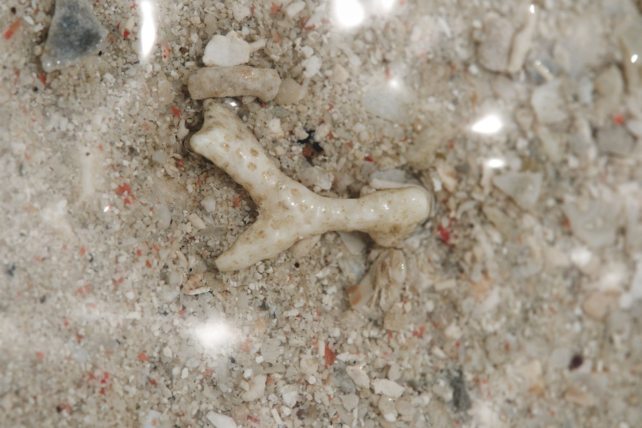 DSCF8376.jpg