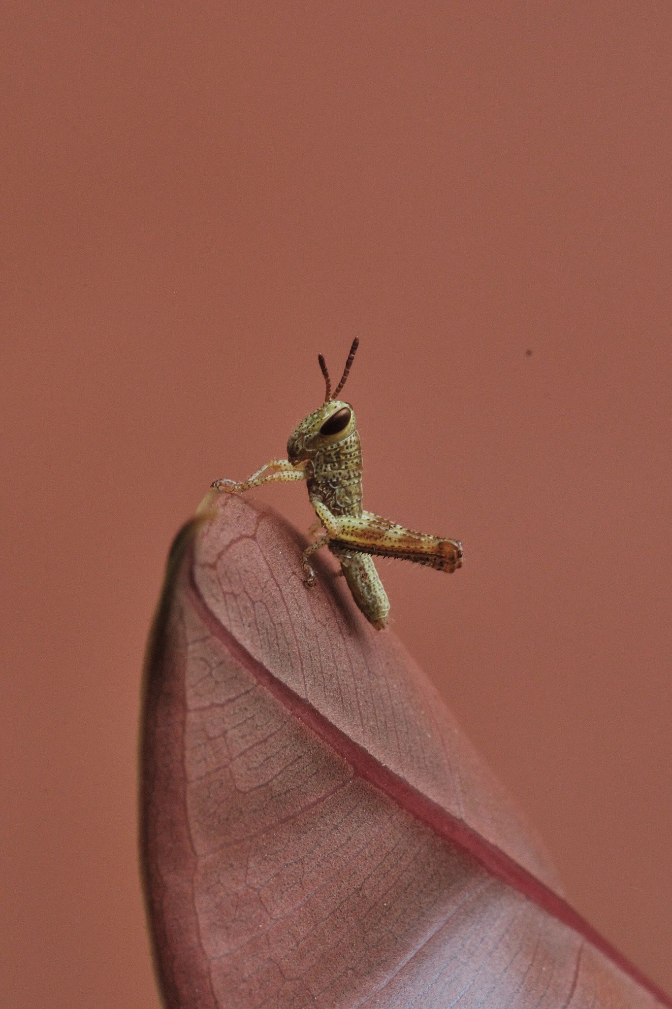 DSCF7695.jpg