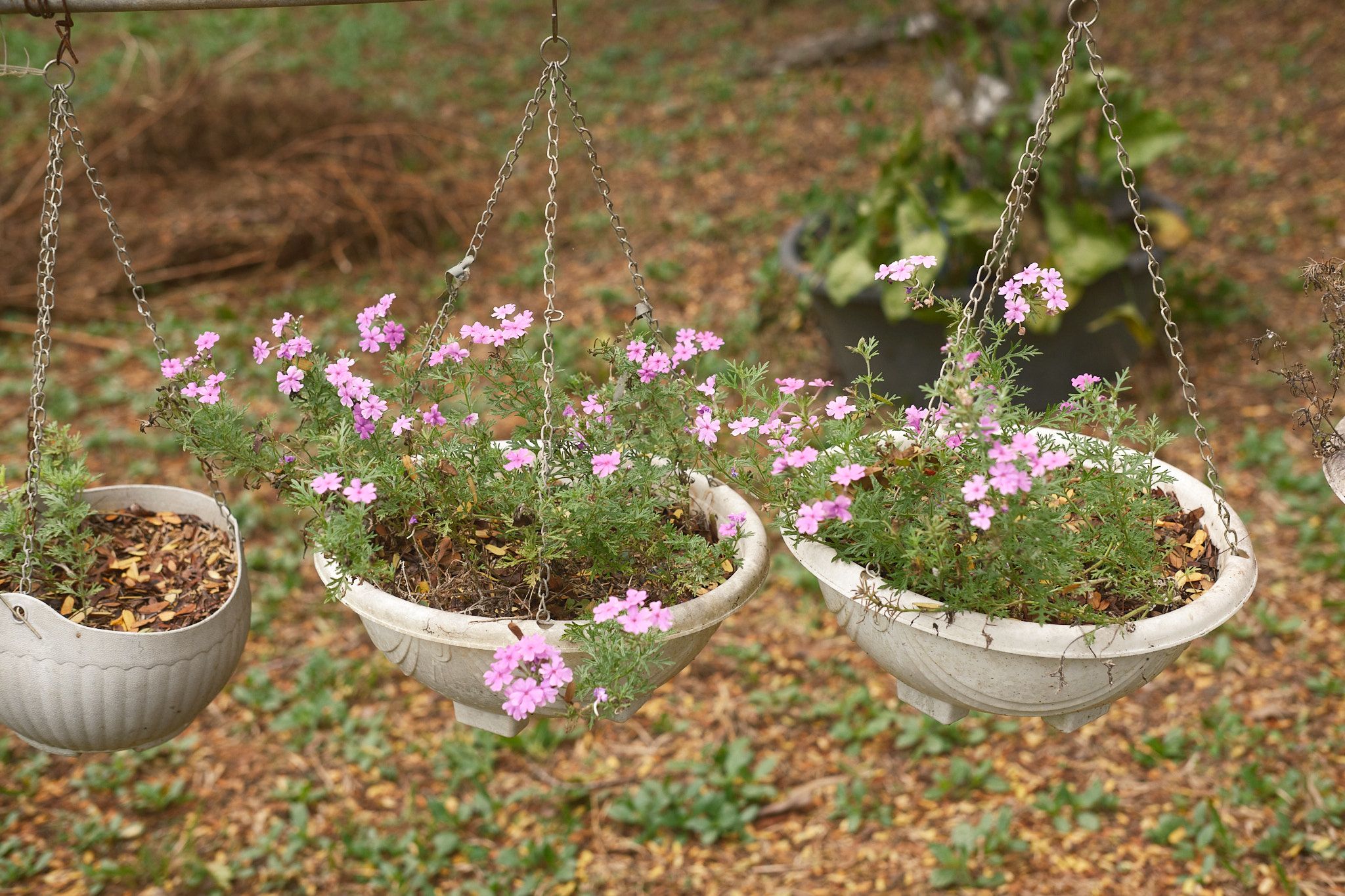 DSCF6488.jpg