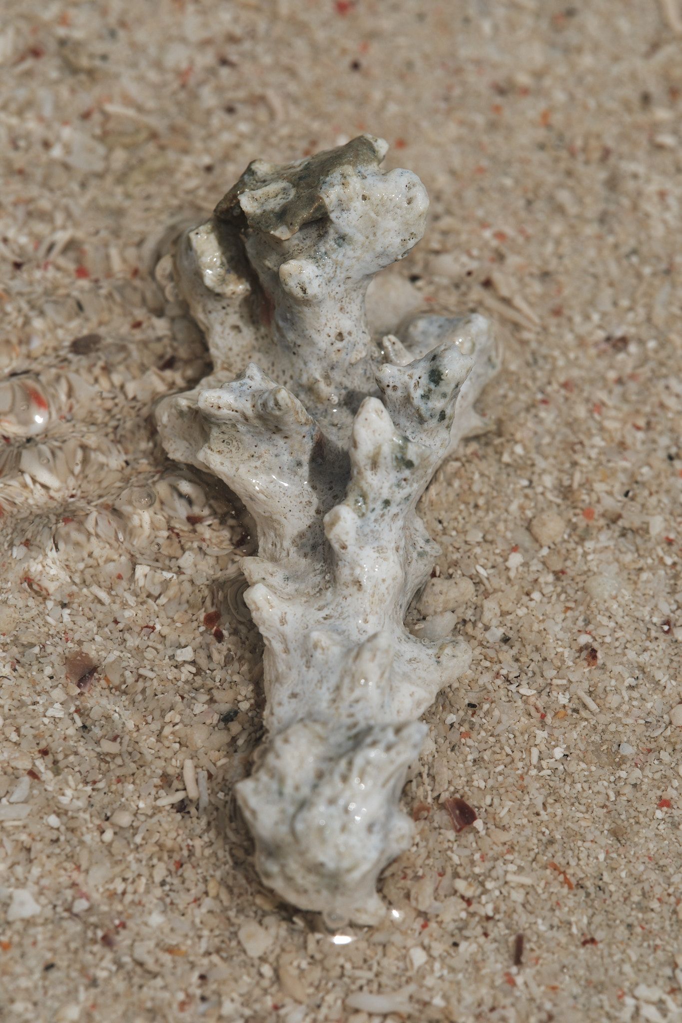 DSCF8305.jpg