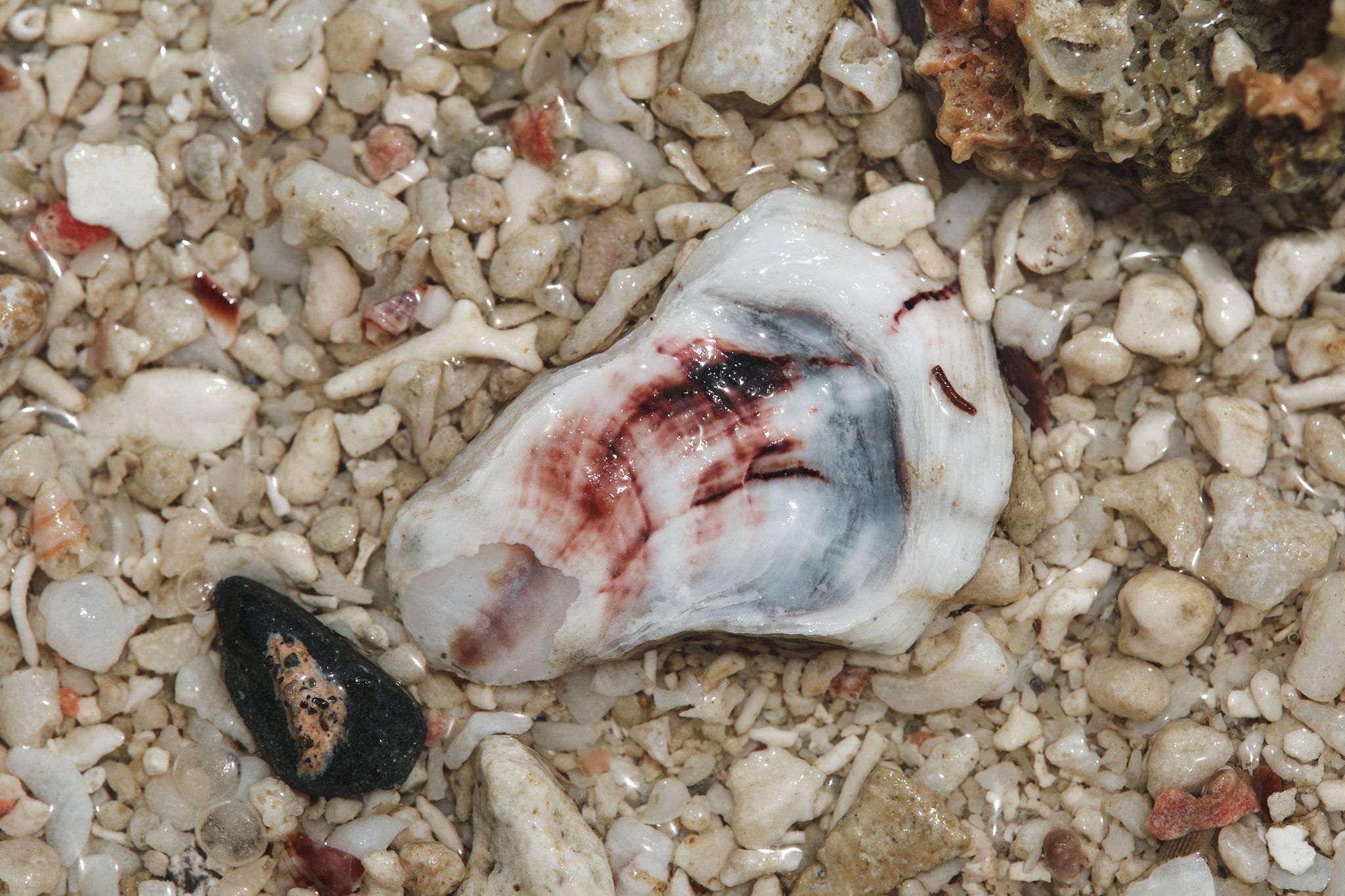 DSCF8400.jpg