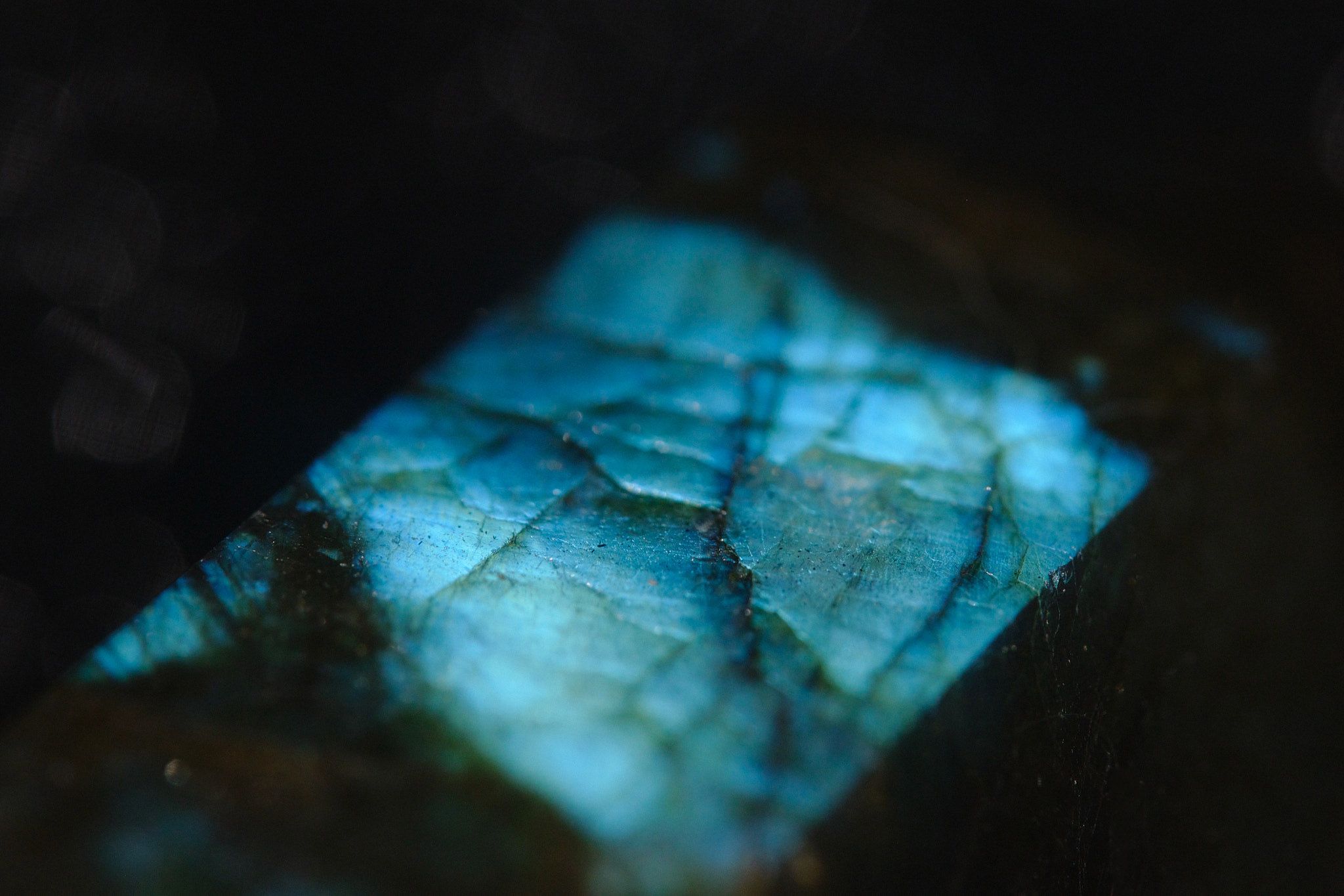 DSCF9192.jpg