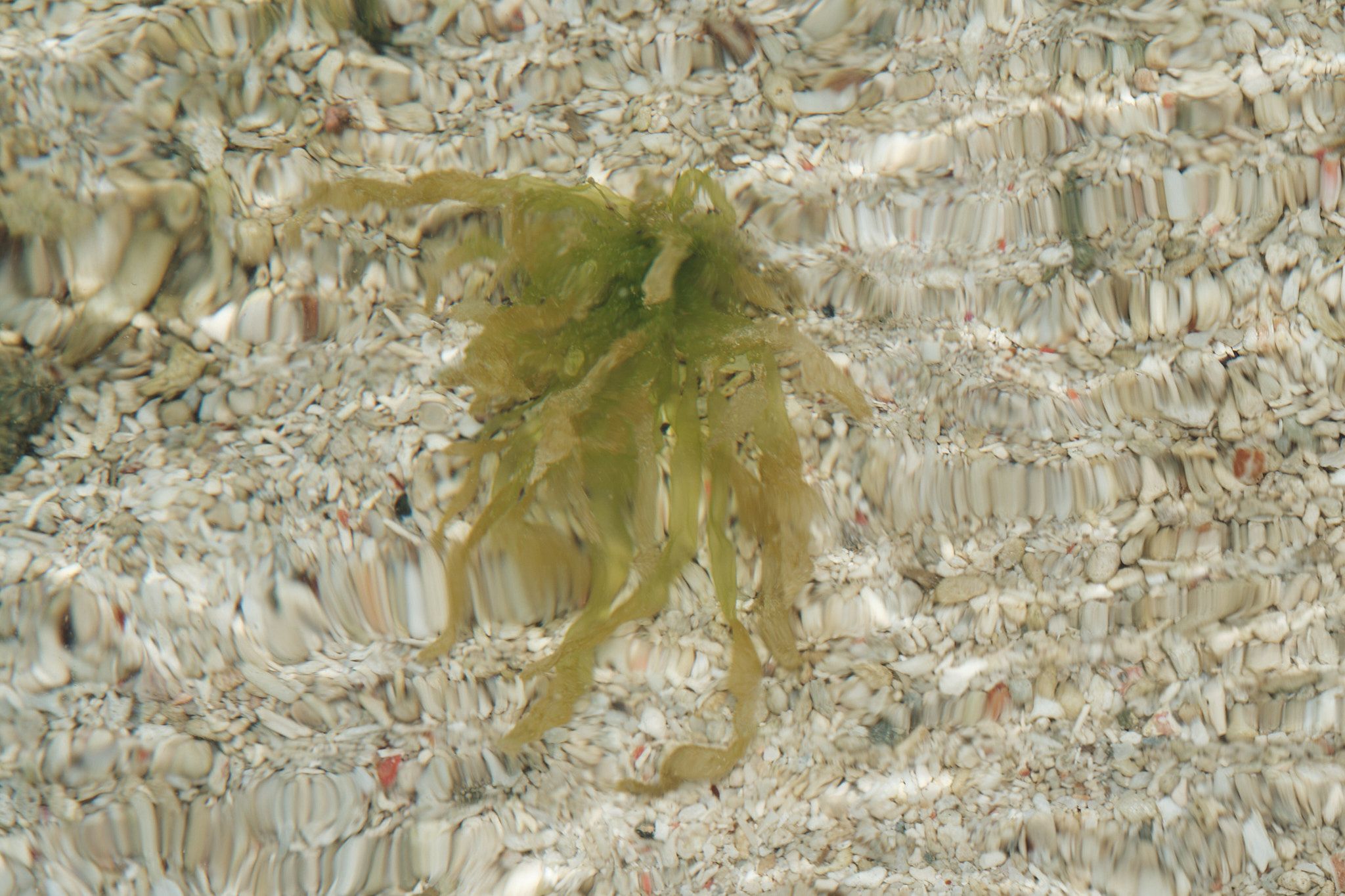 DSCF8381.jpg