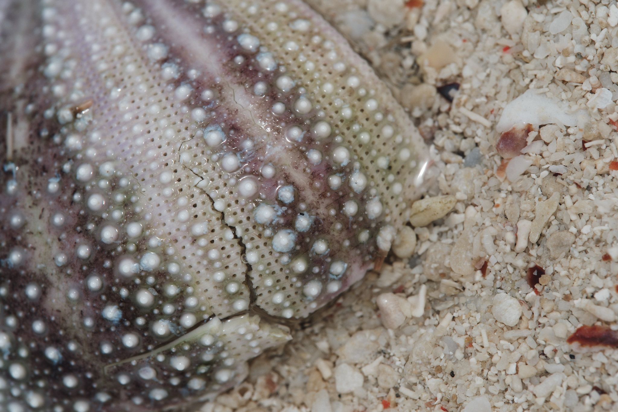 DSCF8358 1.jpg