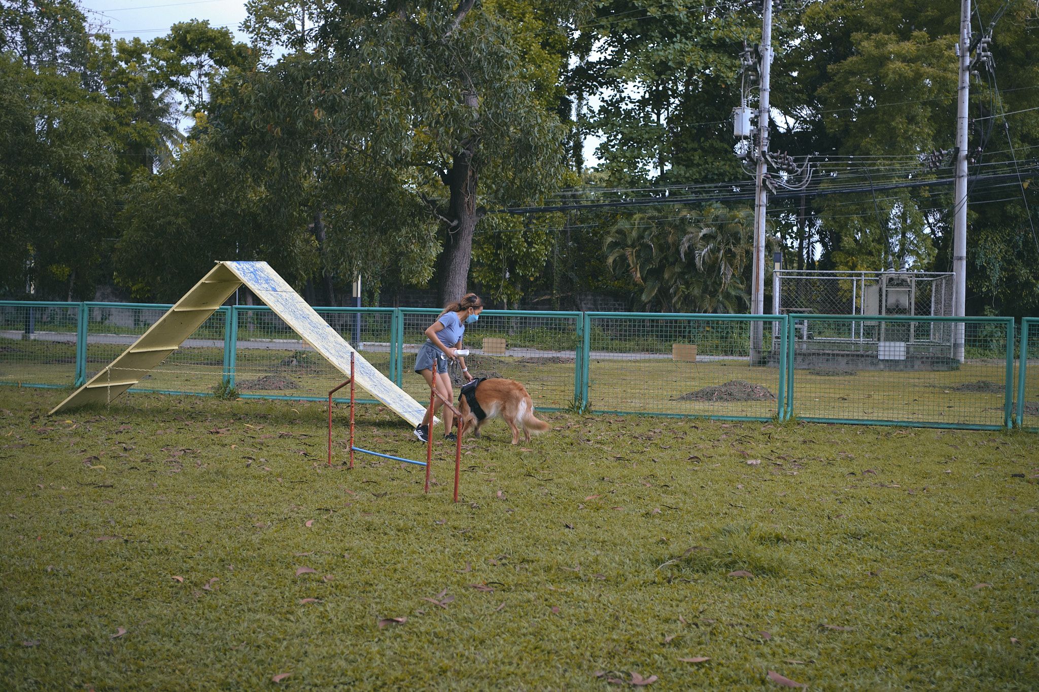 _DSF1875.jpg