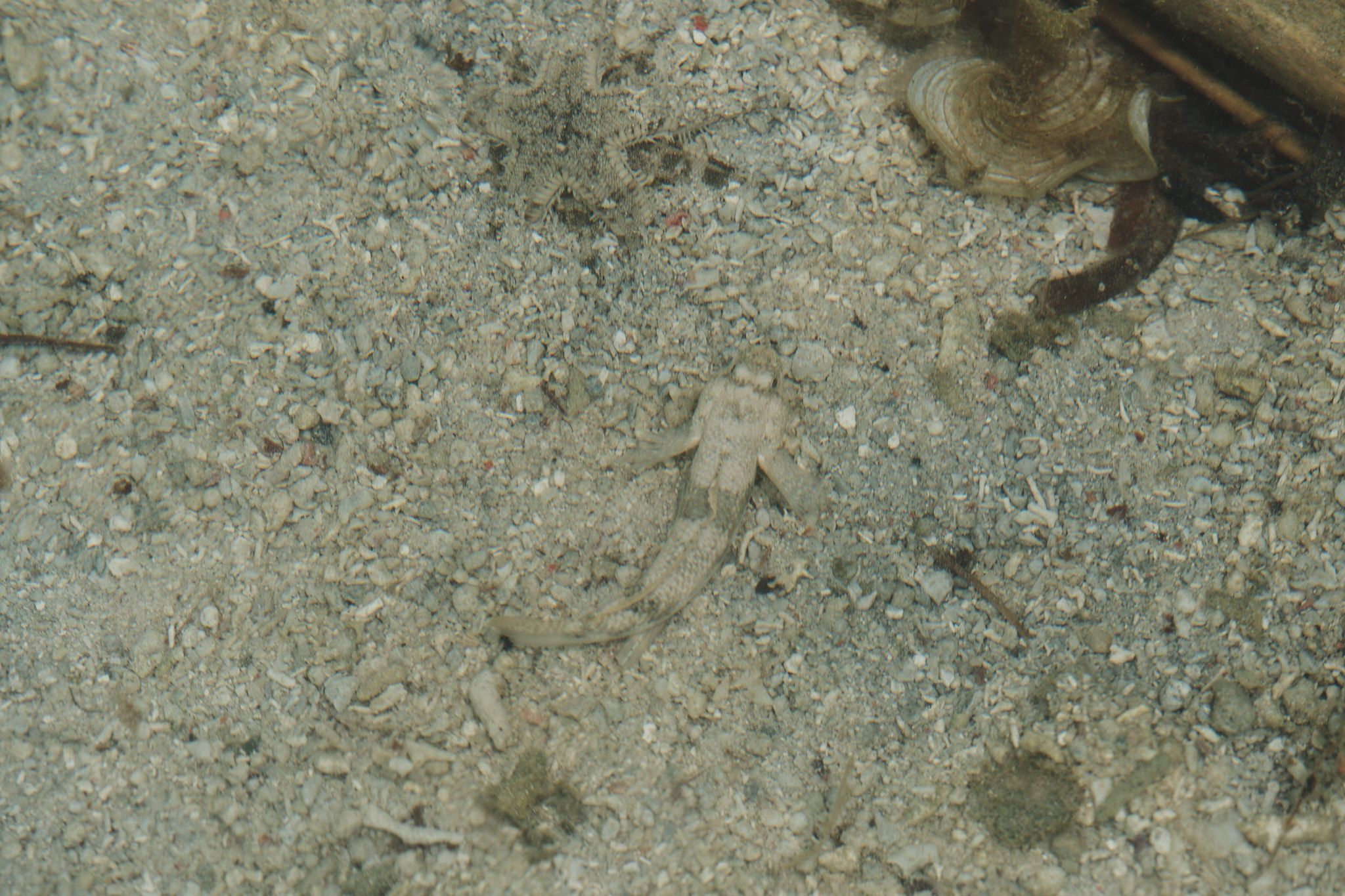 DSCF8518.jpg