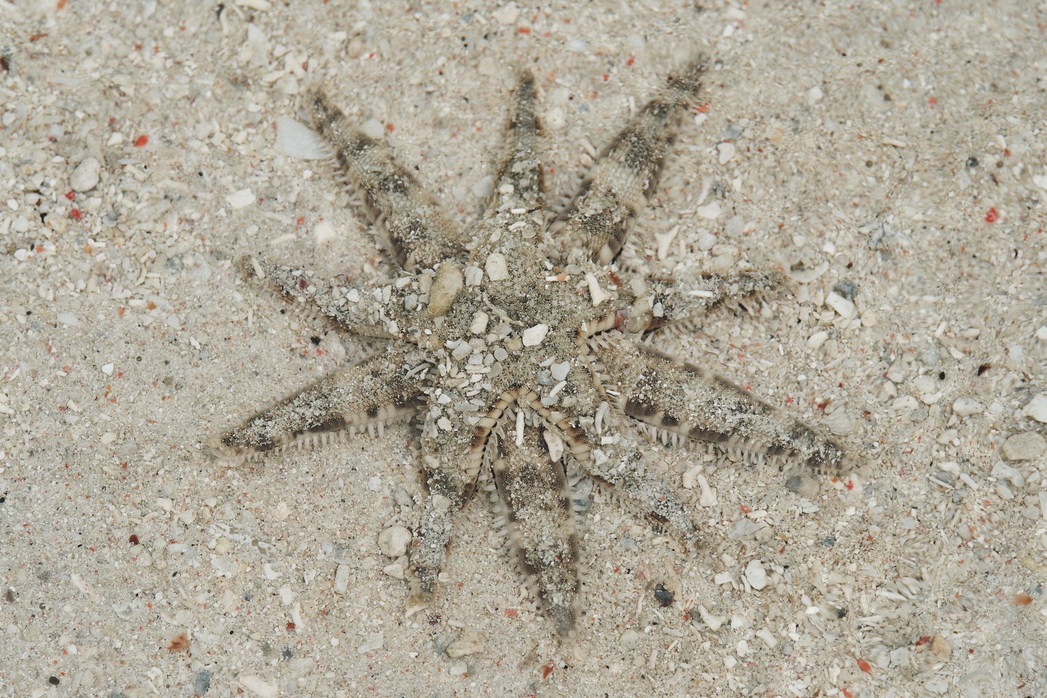 DSCF8366.jpg