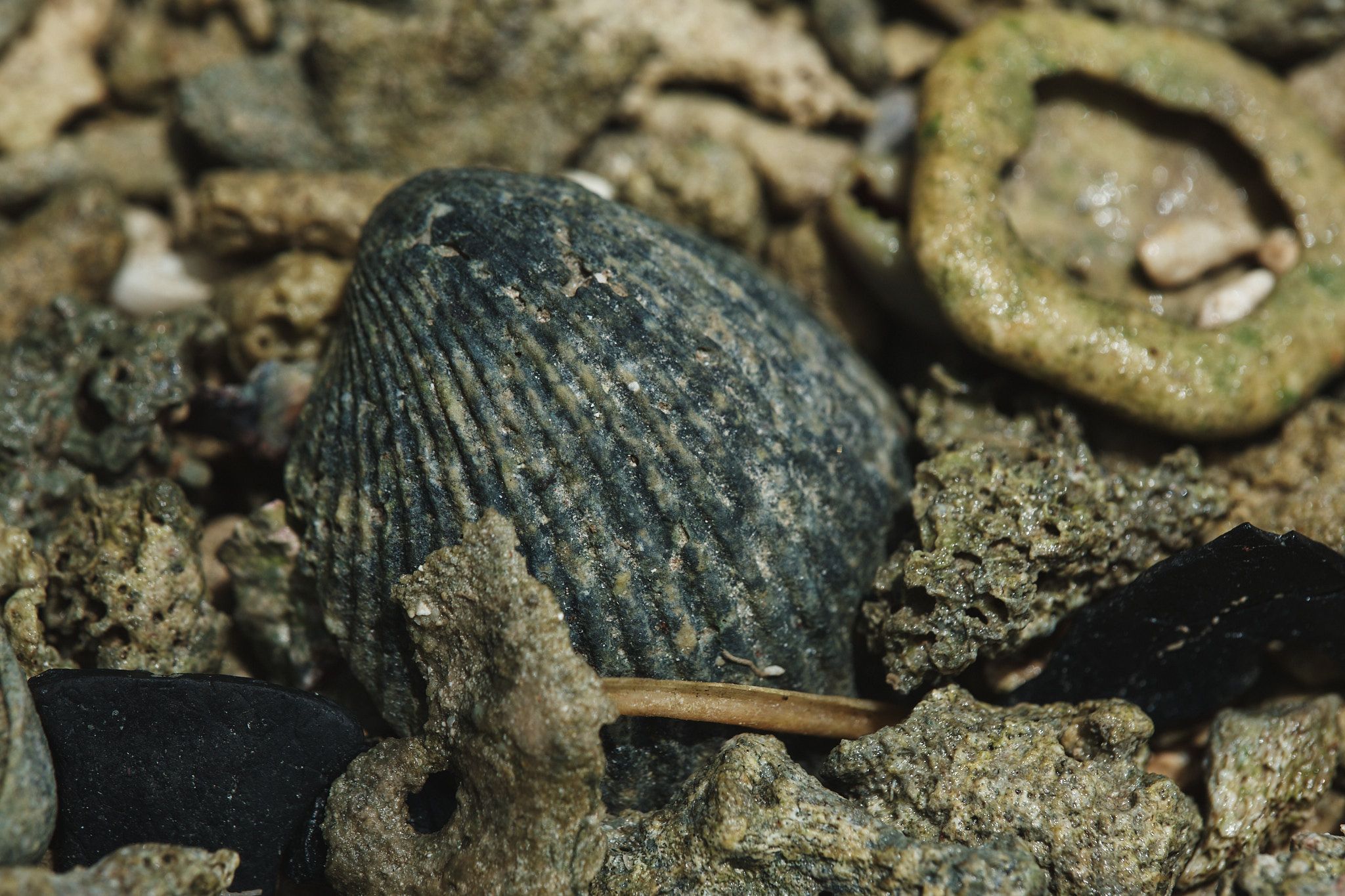 DSCF8512.jpg