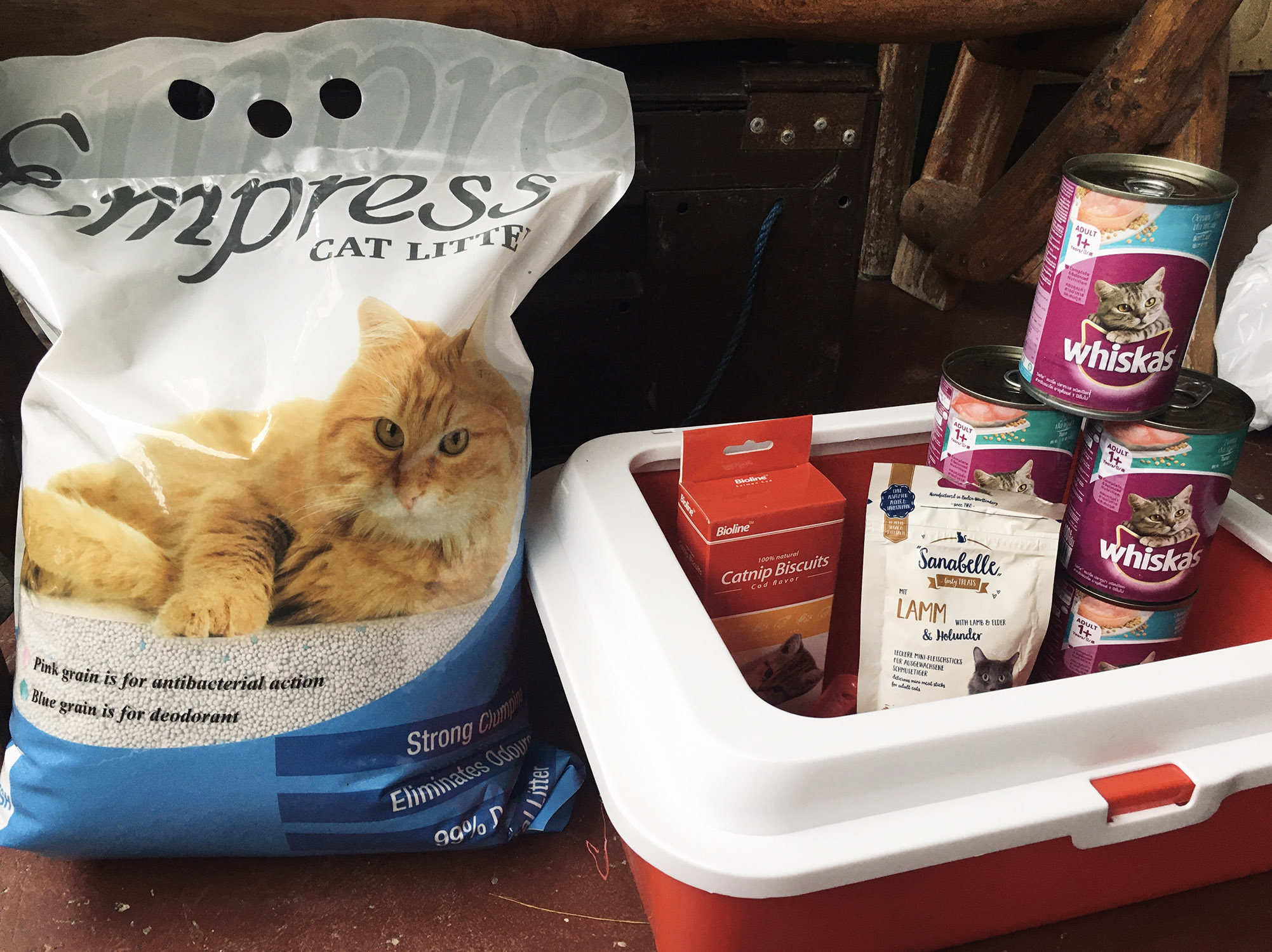 catfood.jpg
