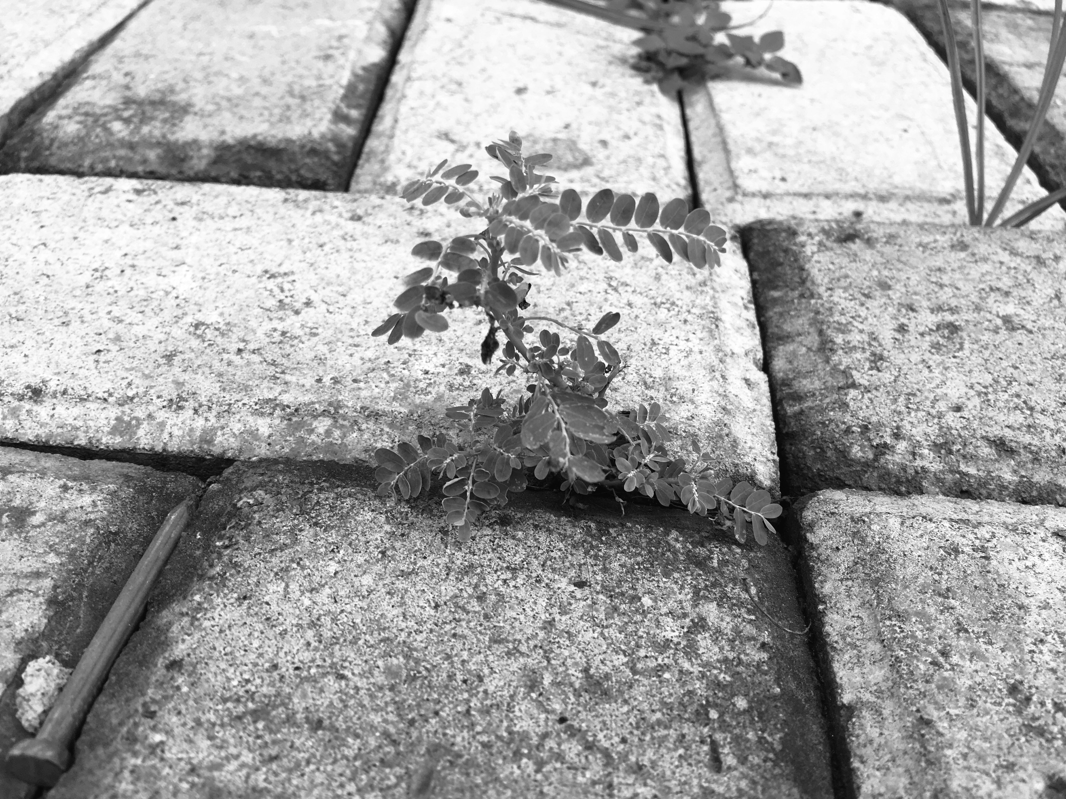 image0 11.jpg