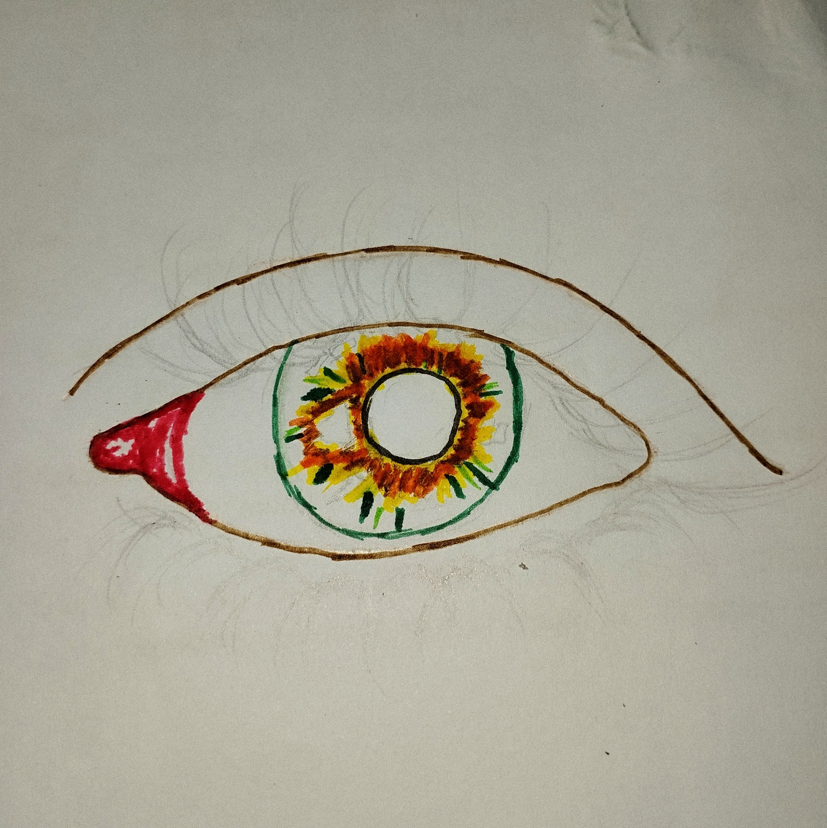 1001312361.jpg