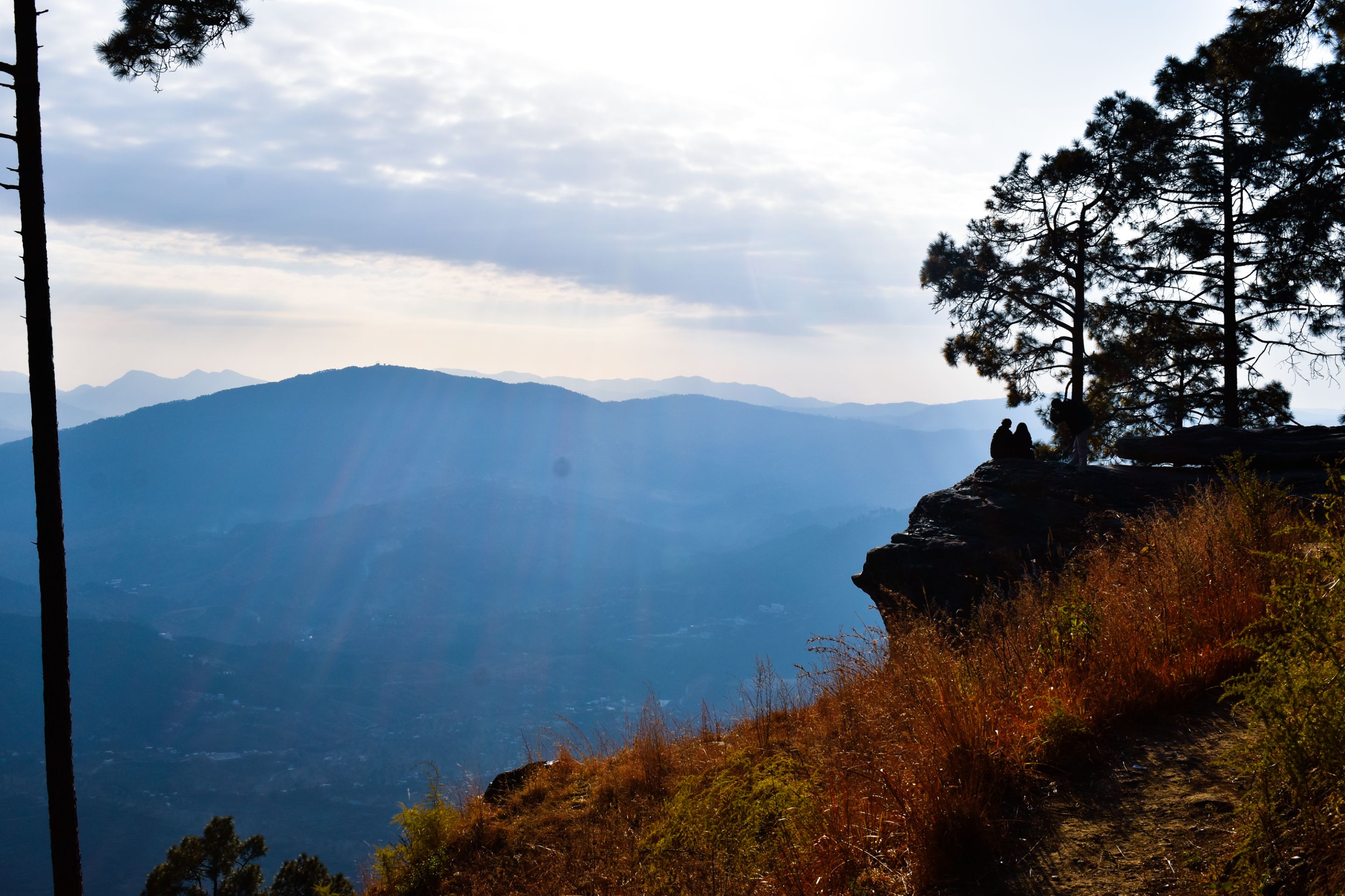 _DSC0803.jpg