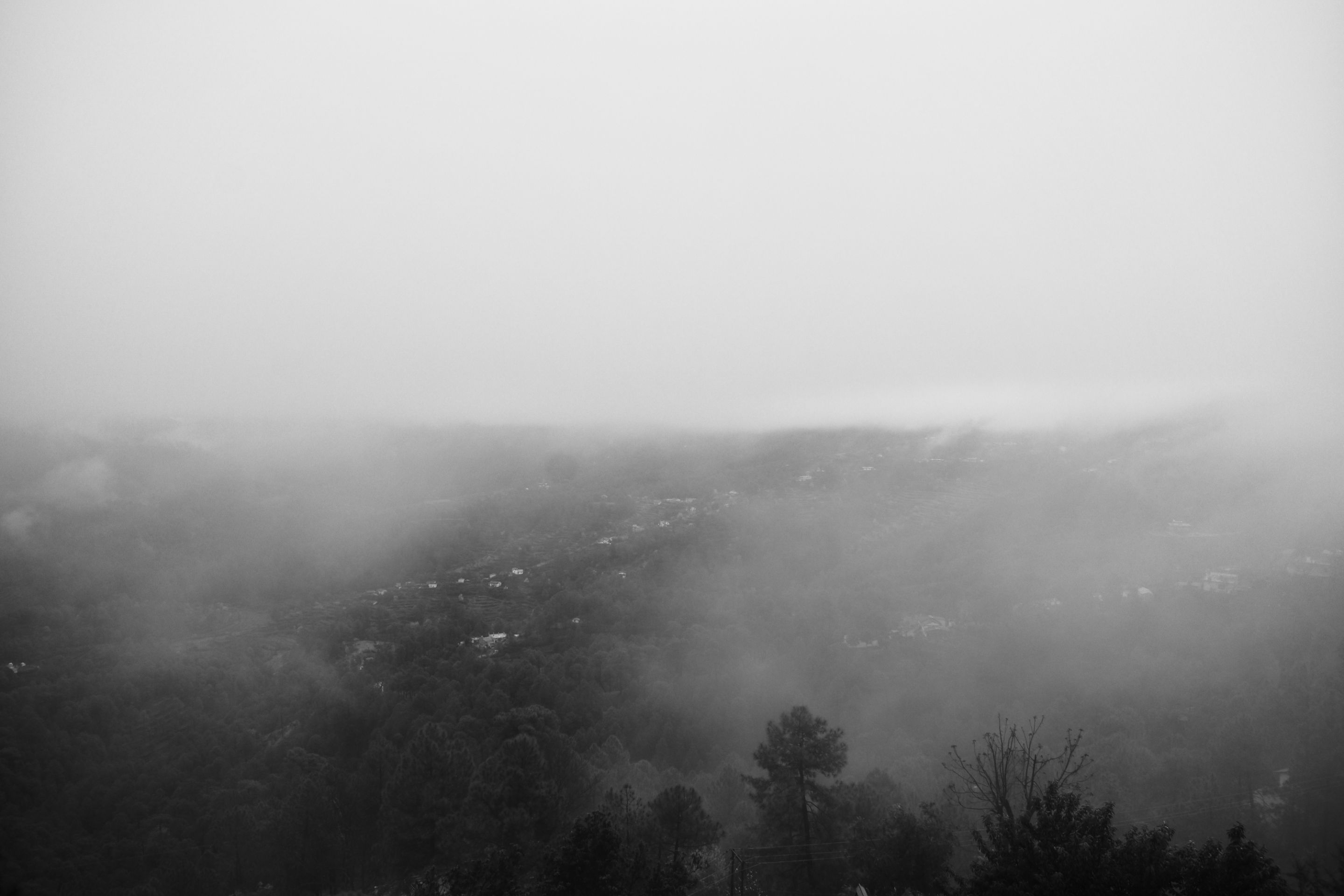 _DSC1298.jpg
