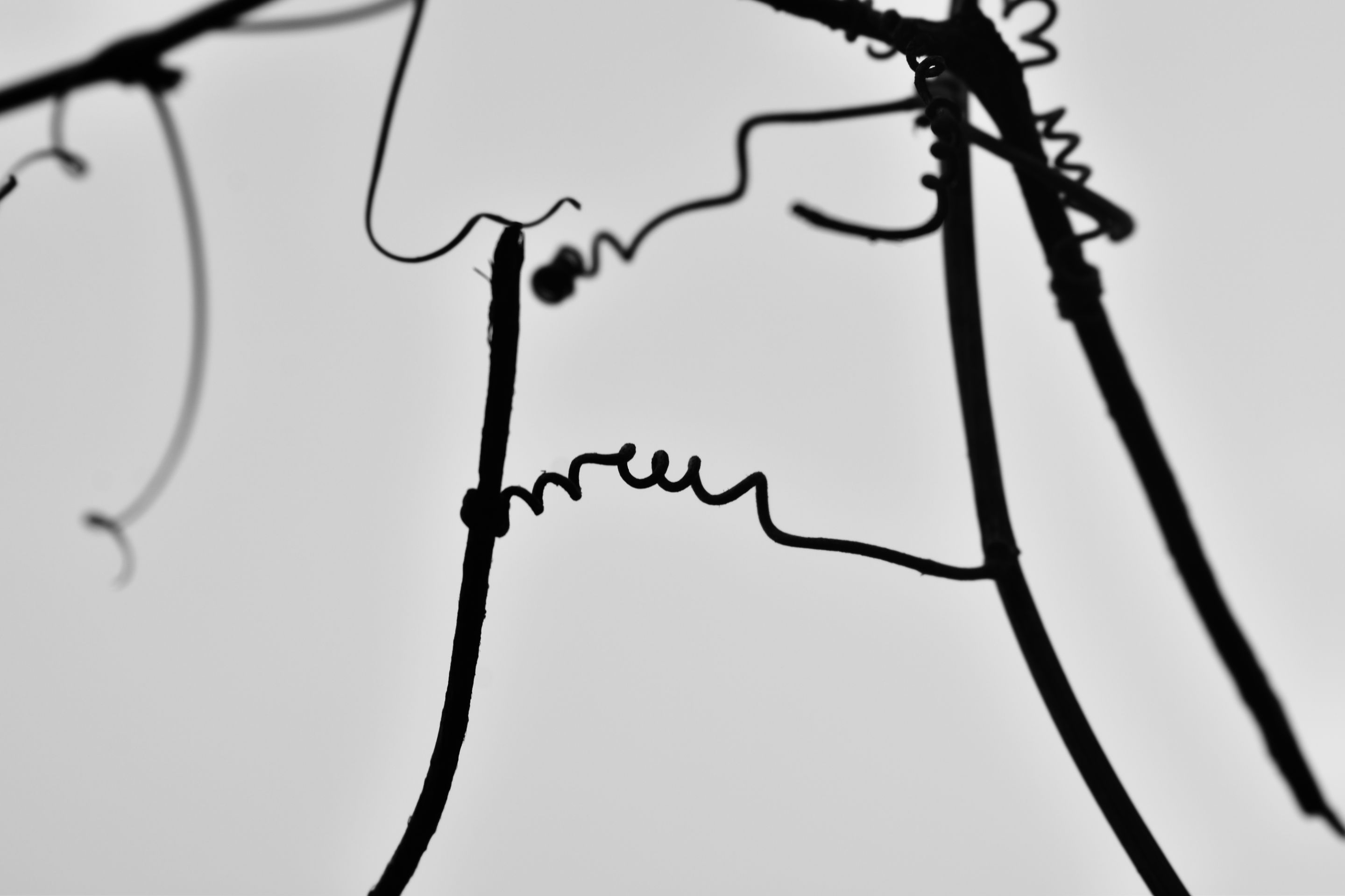 _DSC1954.jpg
