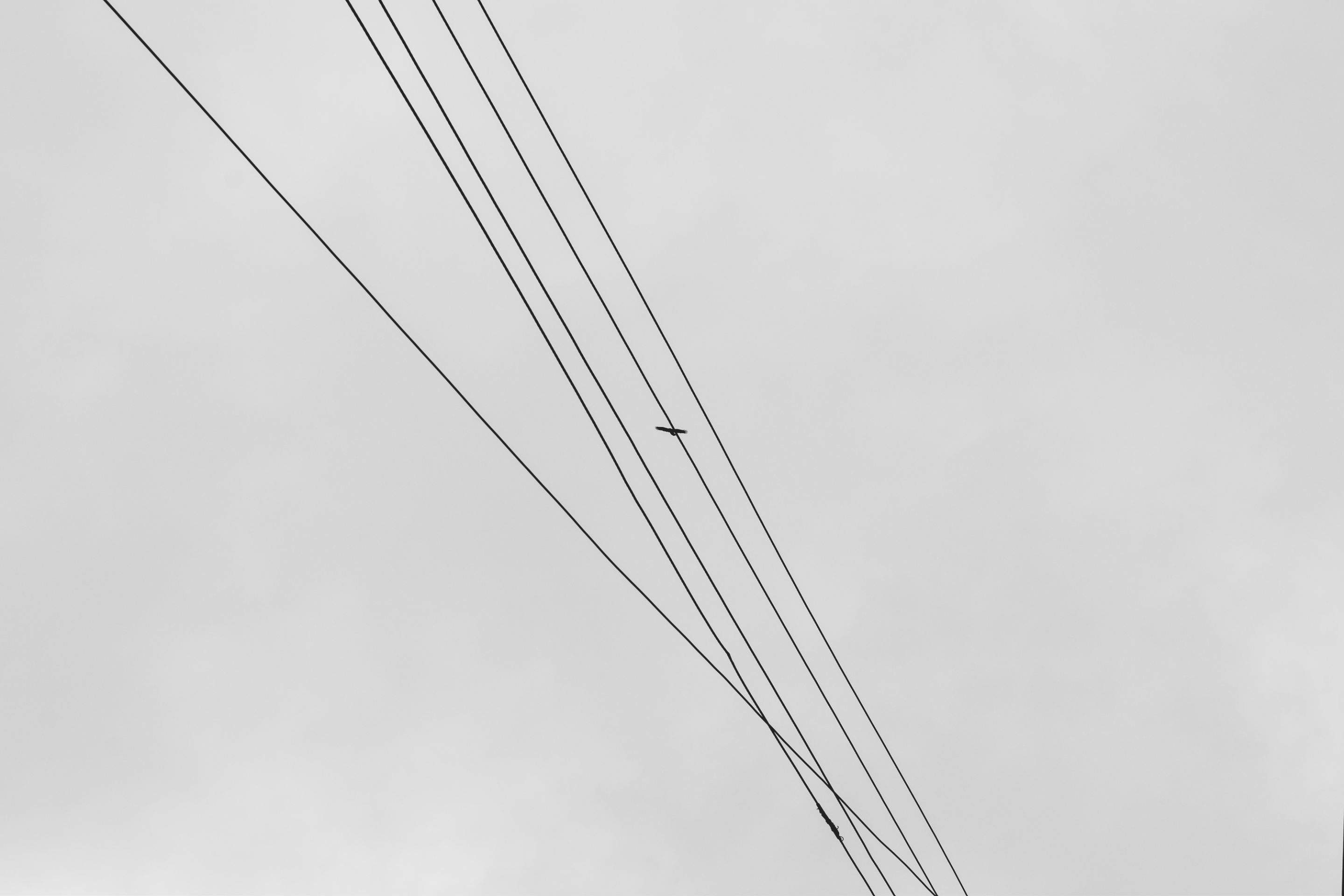 DSC_2854.jpg