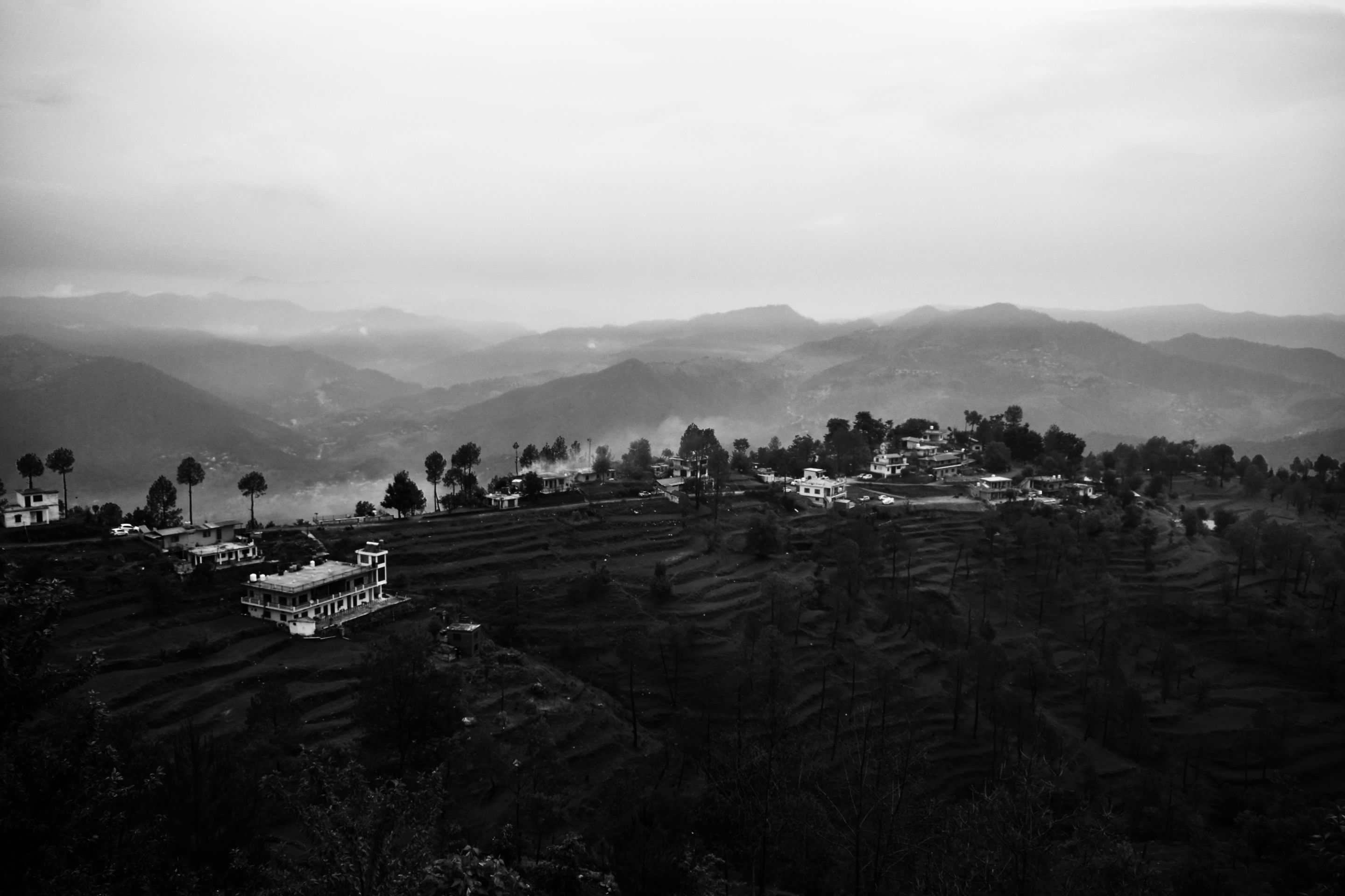 _DSC5001 (1).jpg