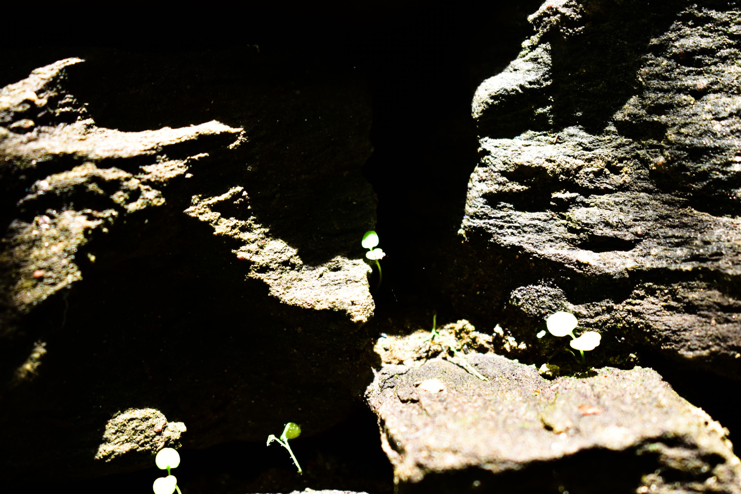 _DSC2260.jpg