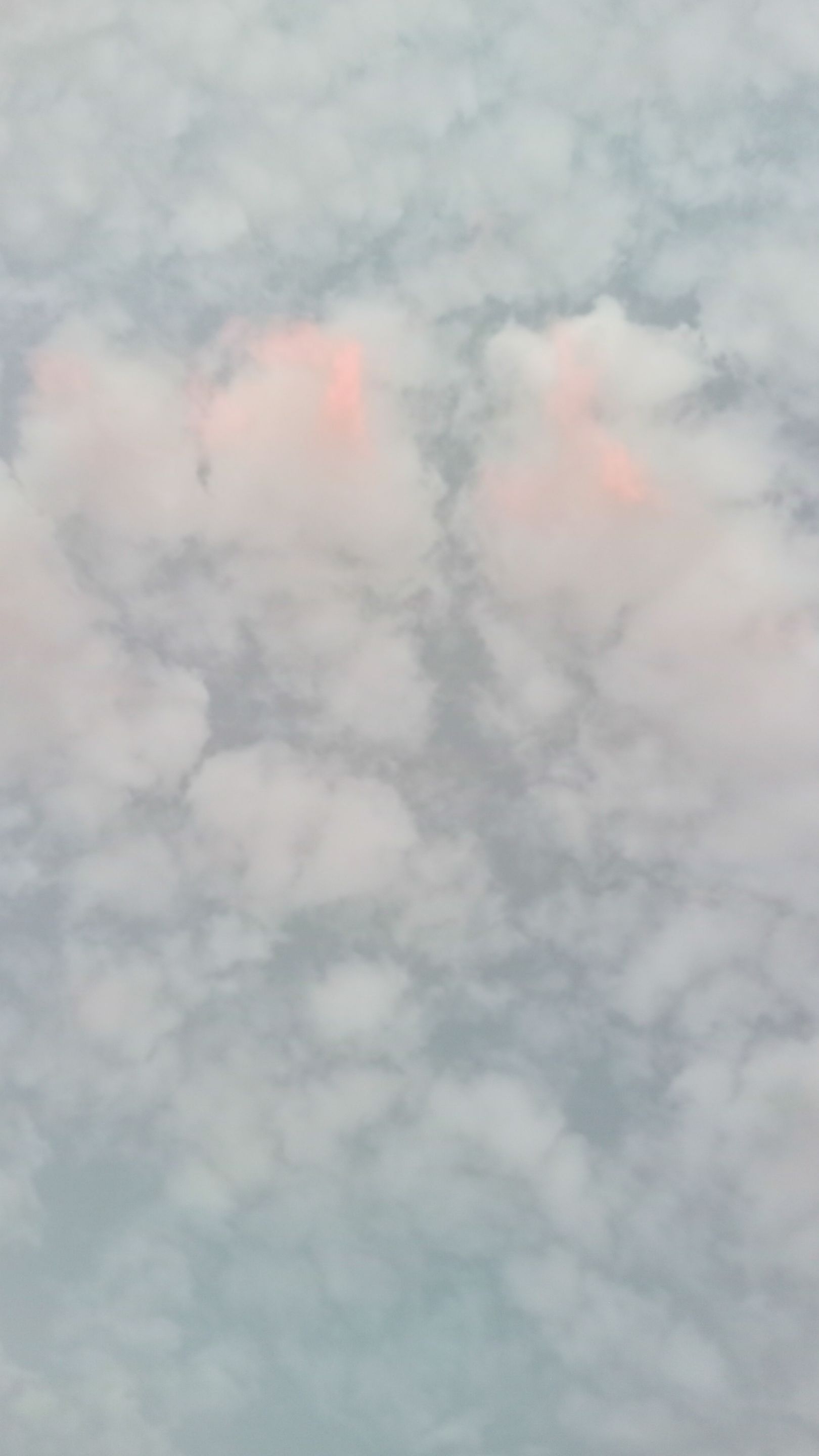 IMG_20250118_174229.jpg