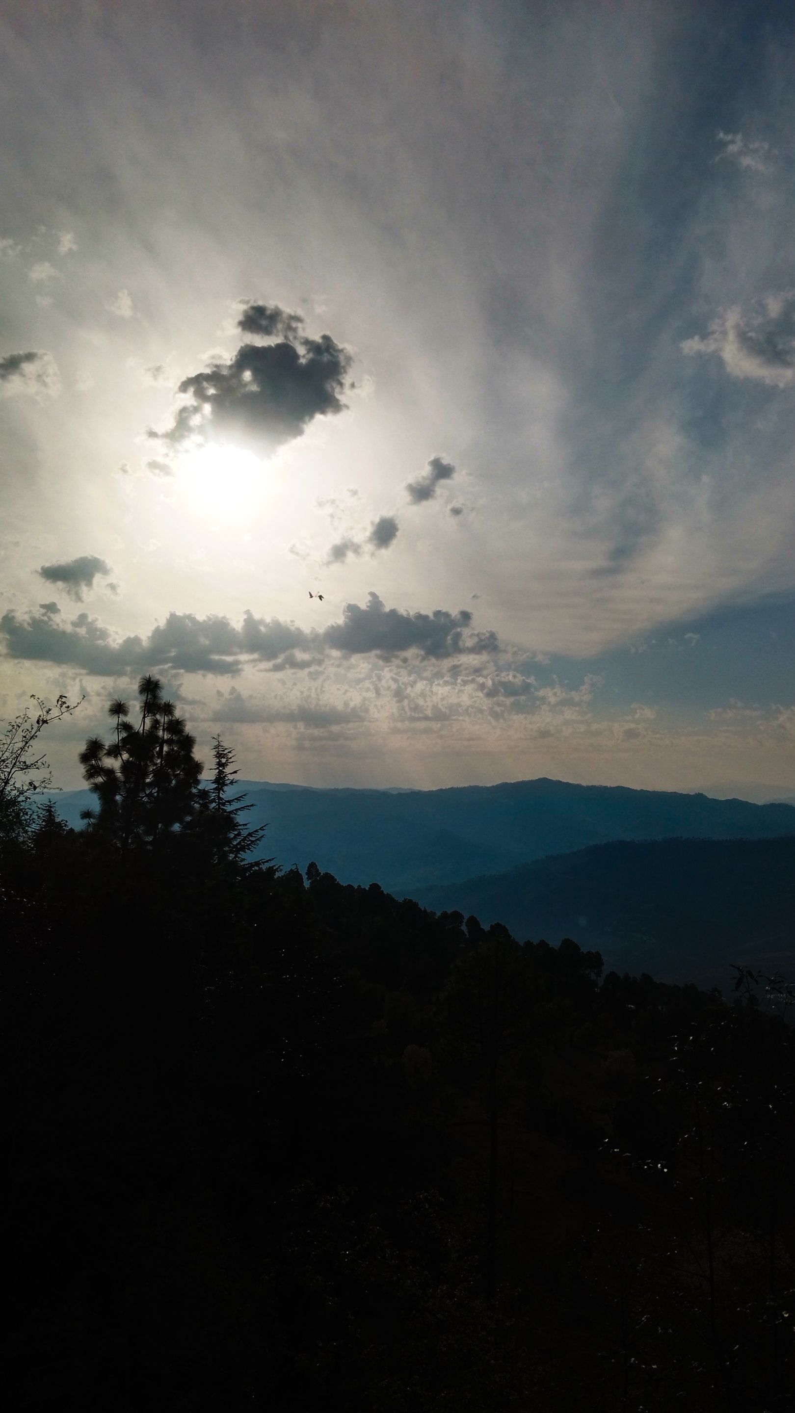 IMG_20250315_170044 (1).jpg