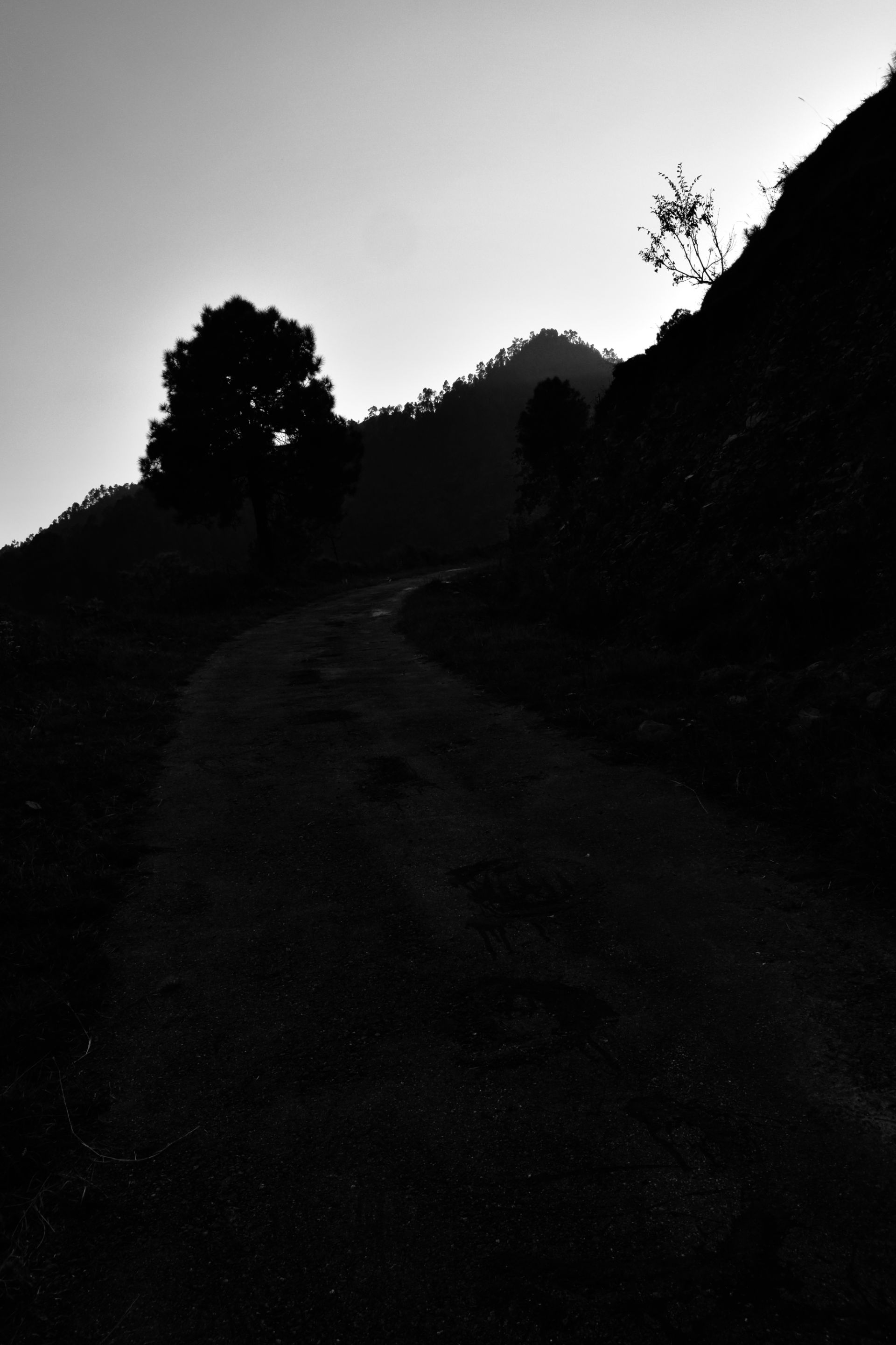 _DSC4283 (2).jpg