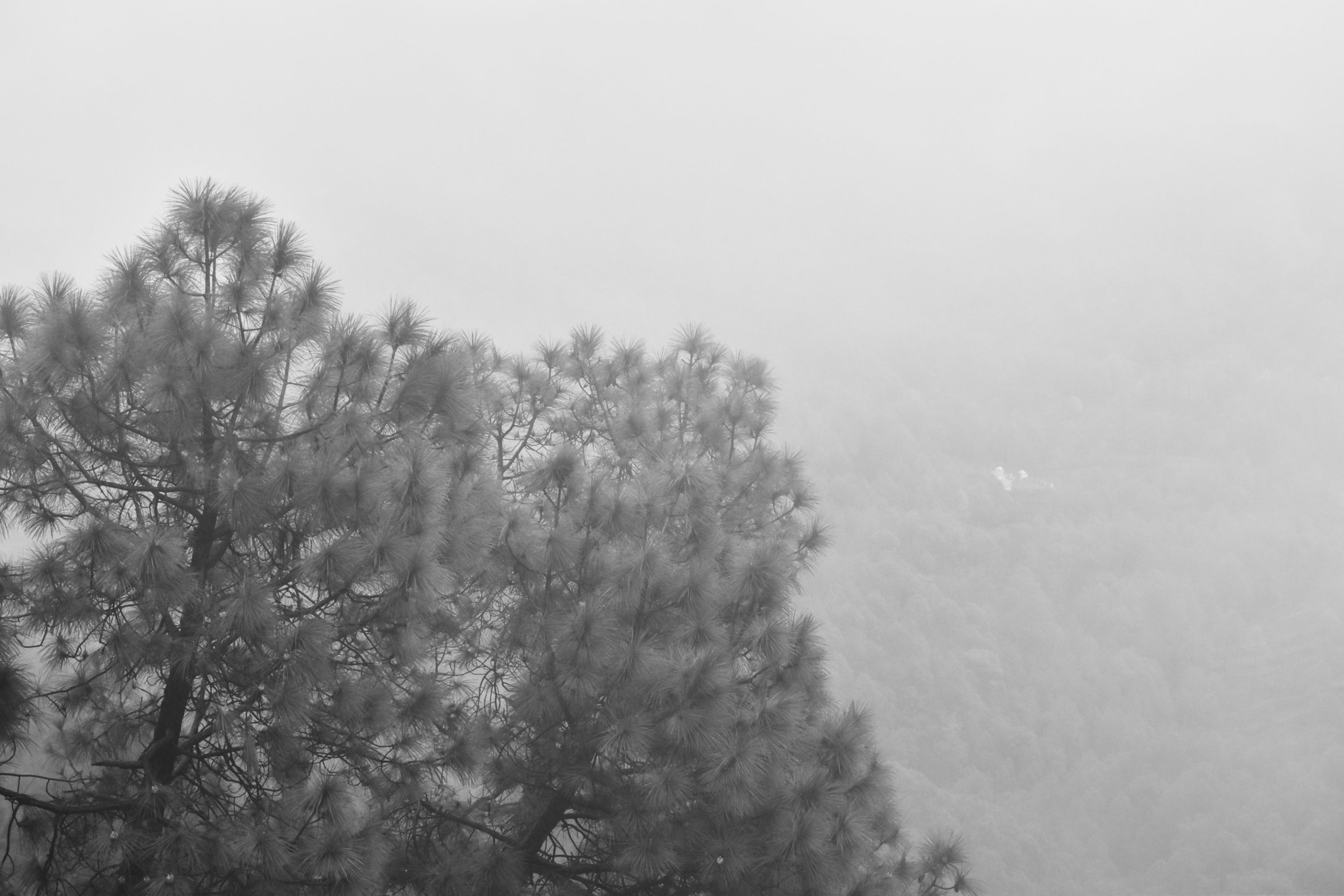 _DSC1301.jpg