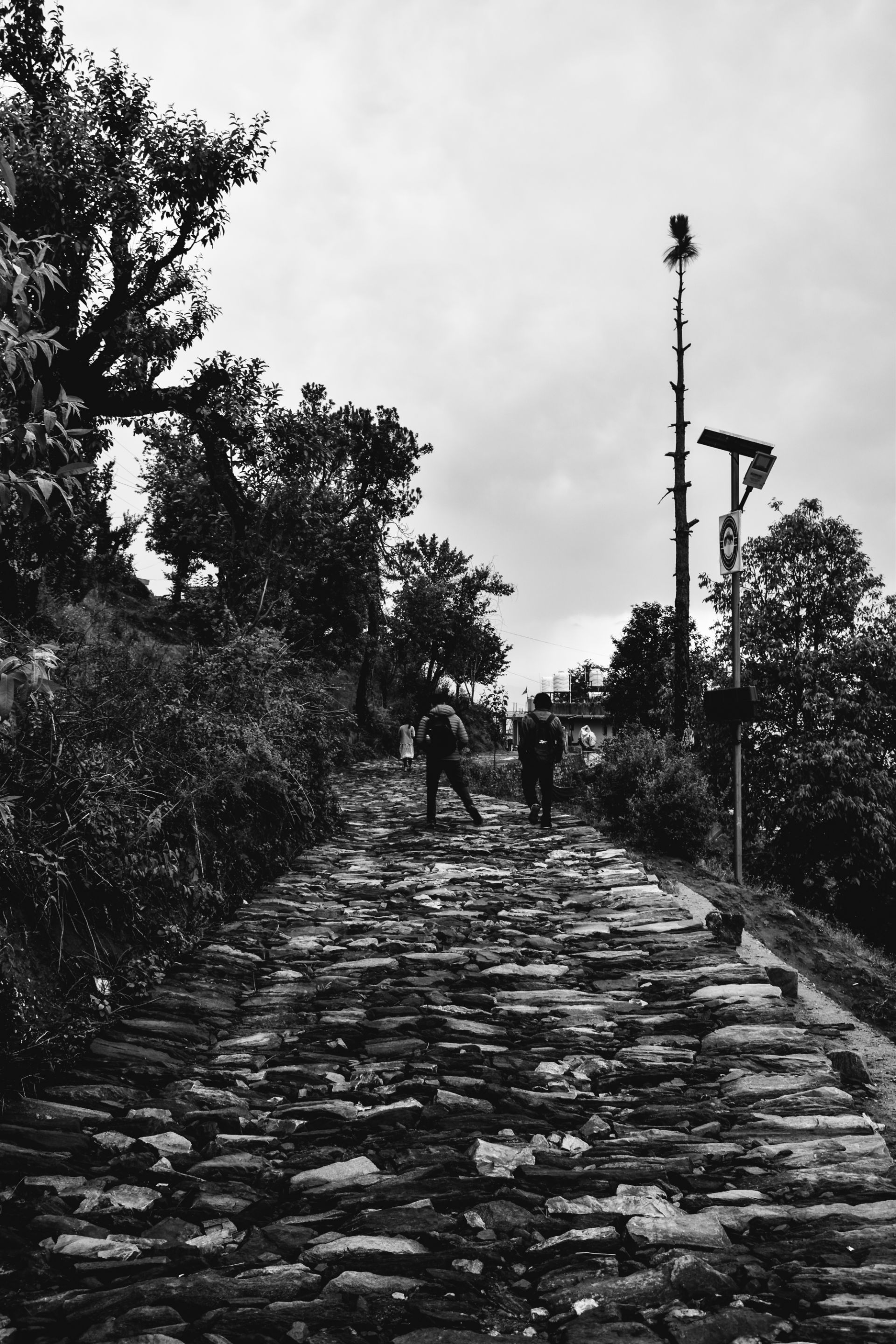 _DSC4936 (1).jpg