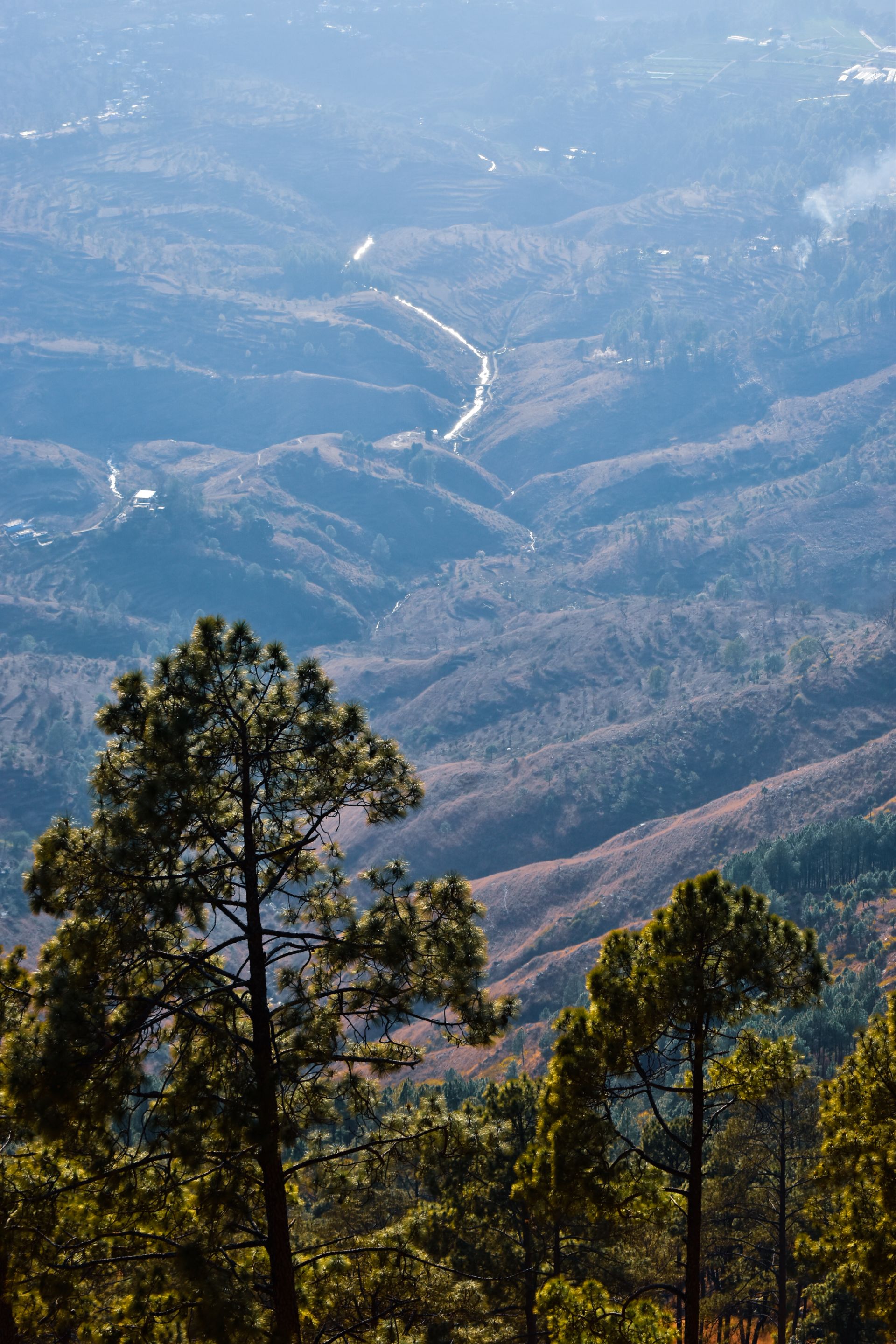 _DSC0809.jpg