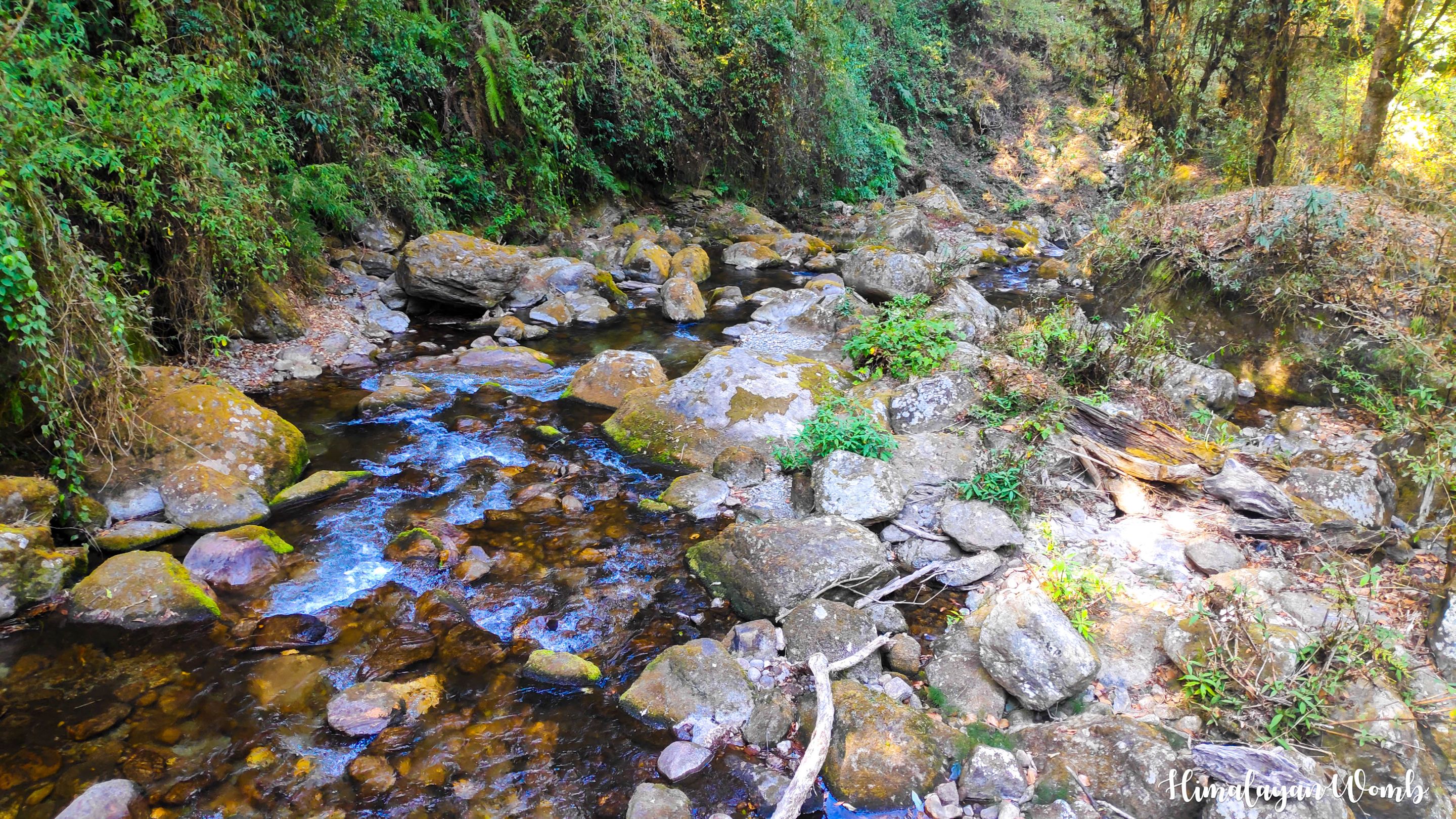 IMG_20240306_141908.JPG