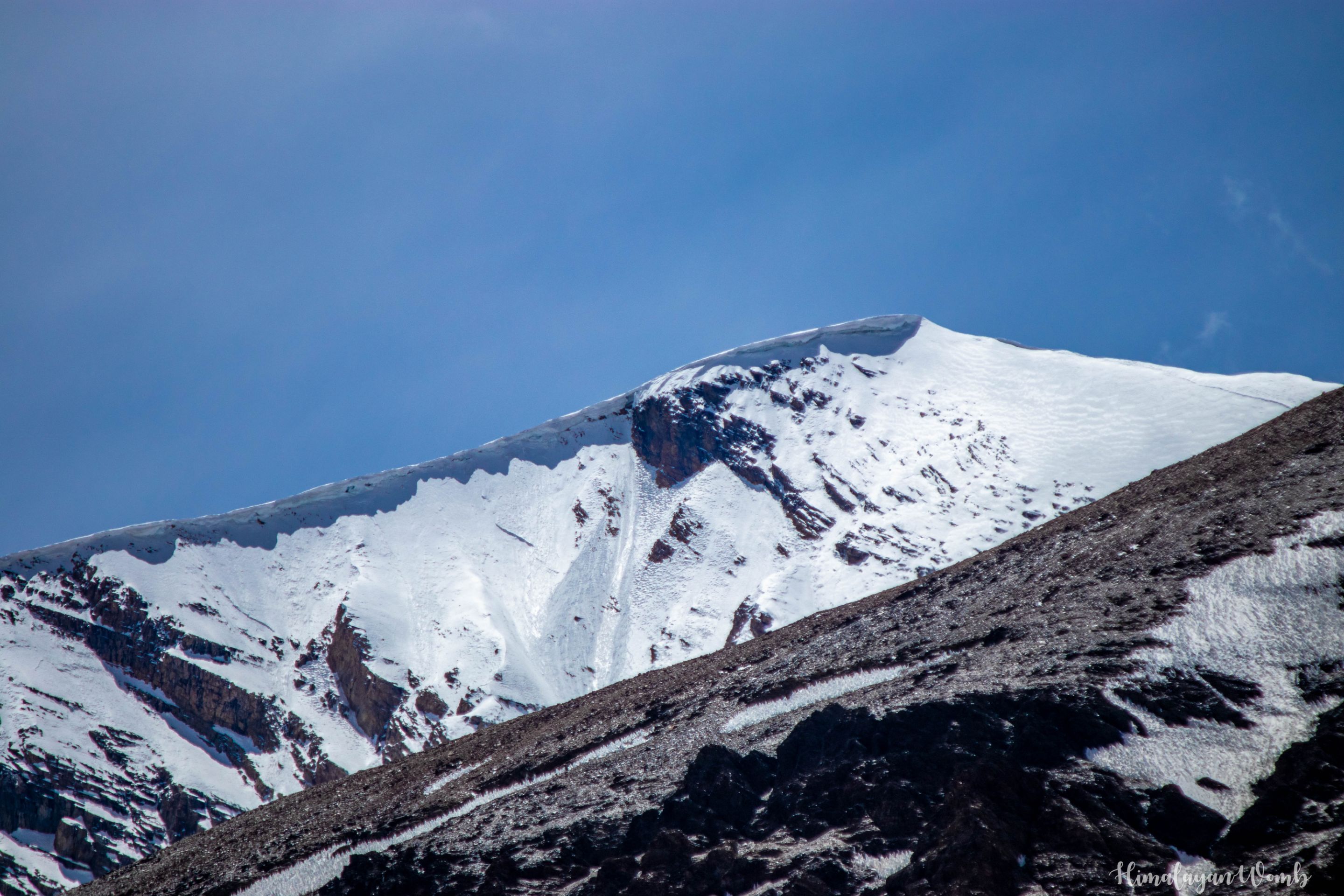 IMG_9535.JPG