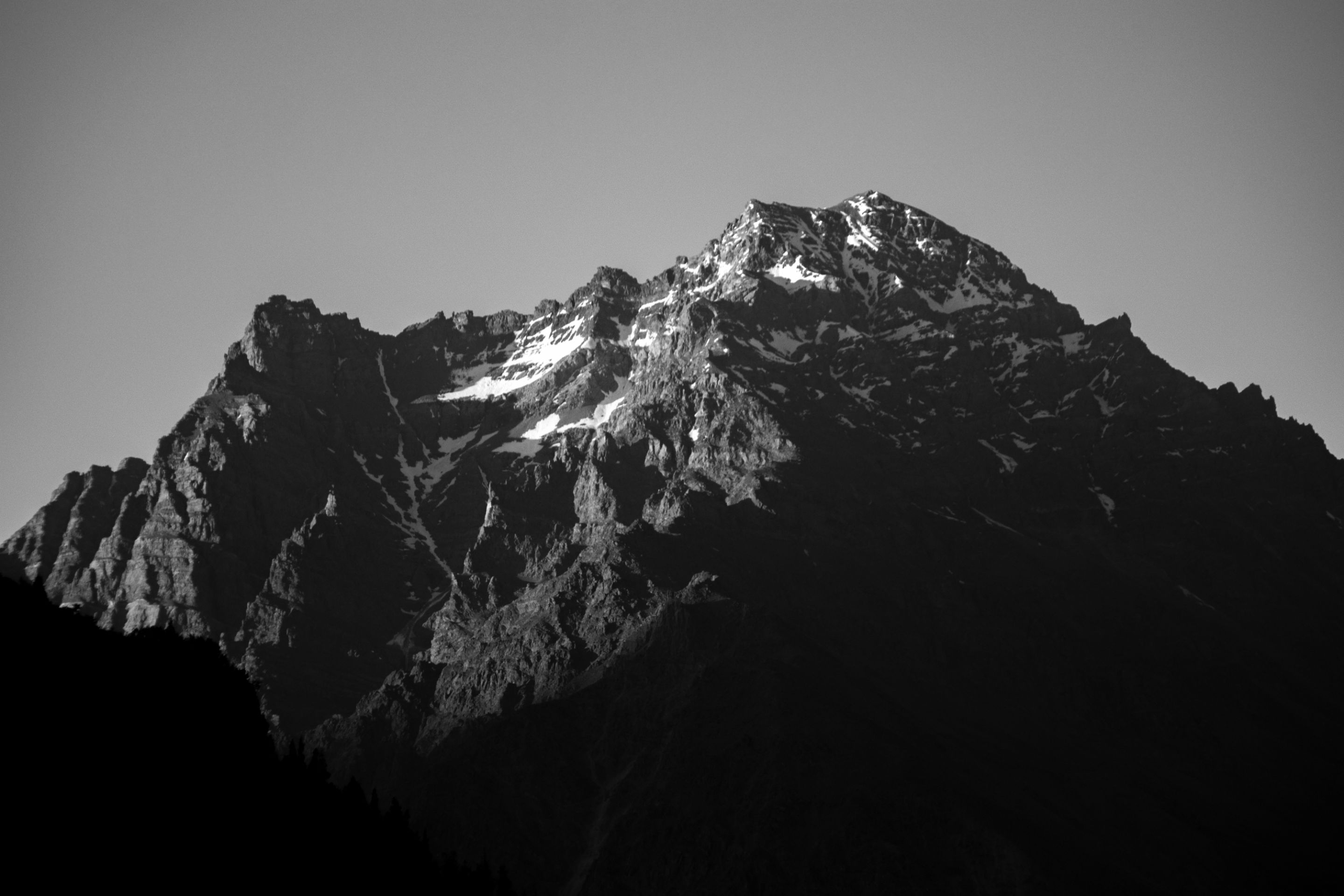 IMG_4842.jpg