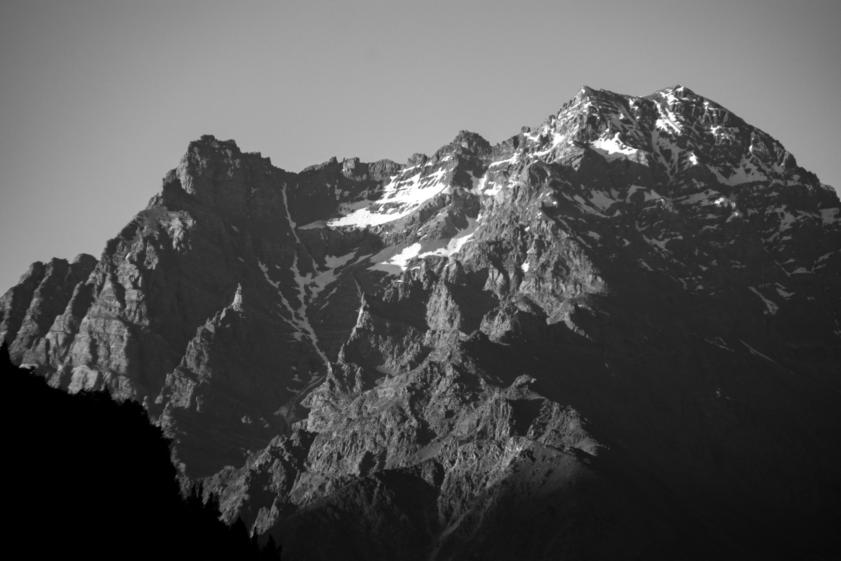 IMG_4839.jpg