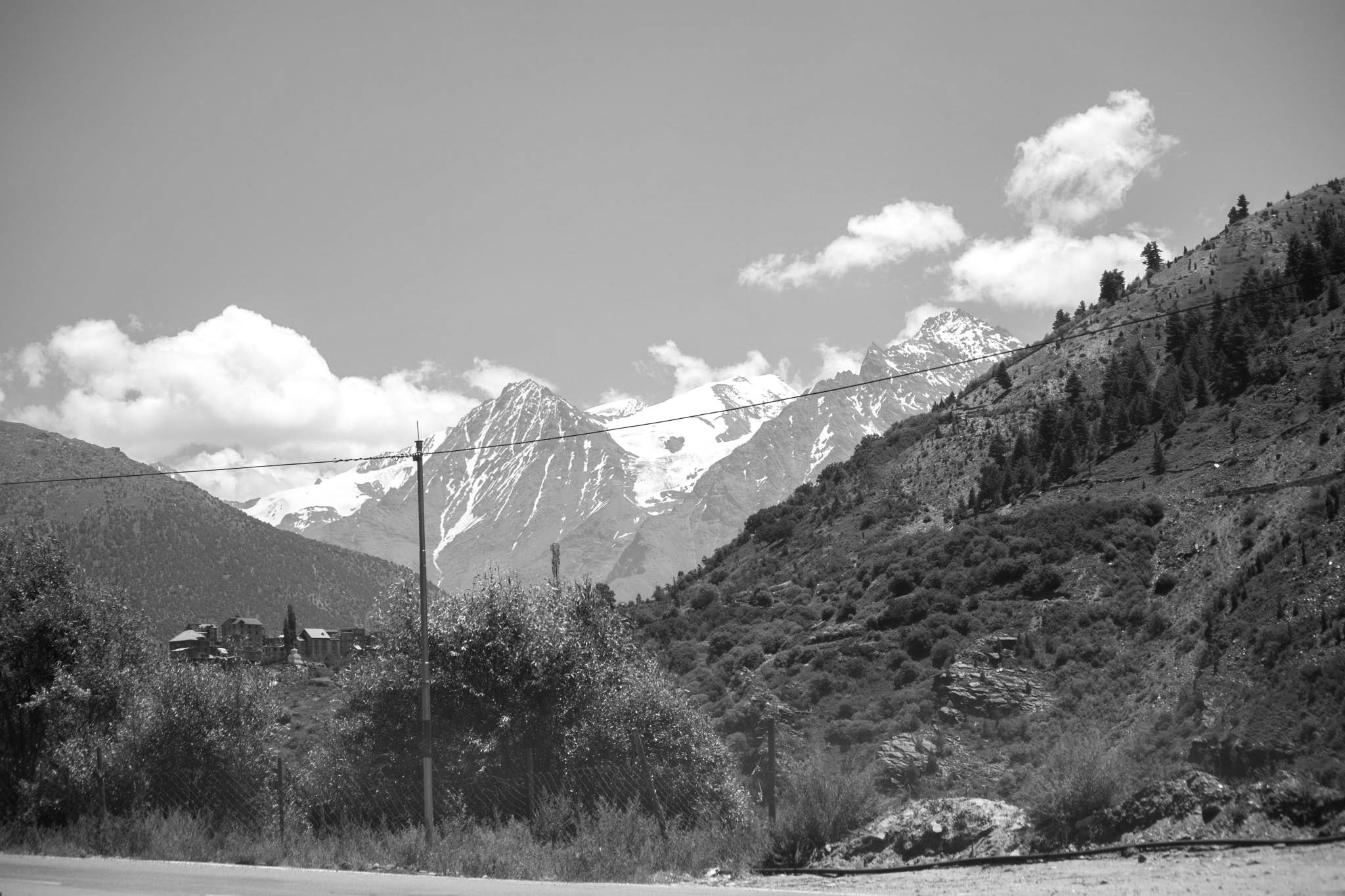 IMG_4804.jpg