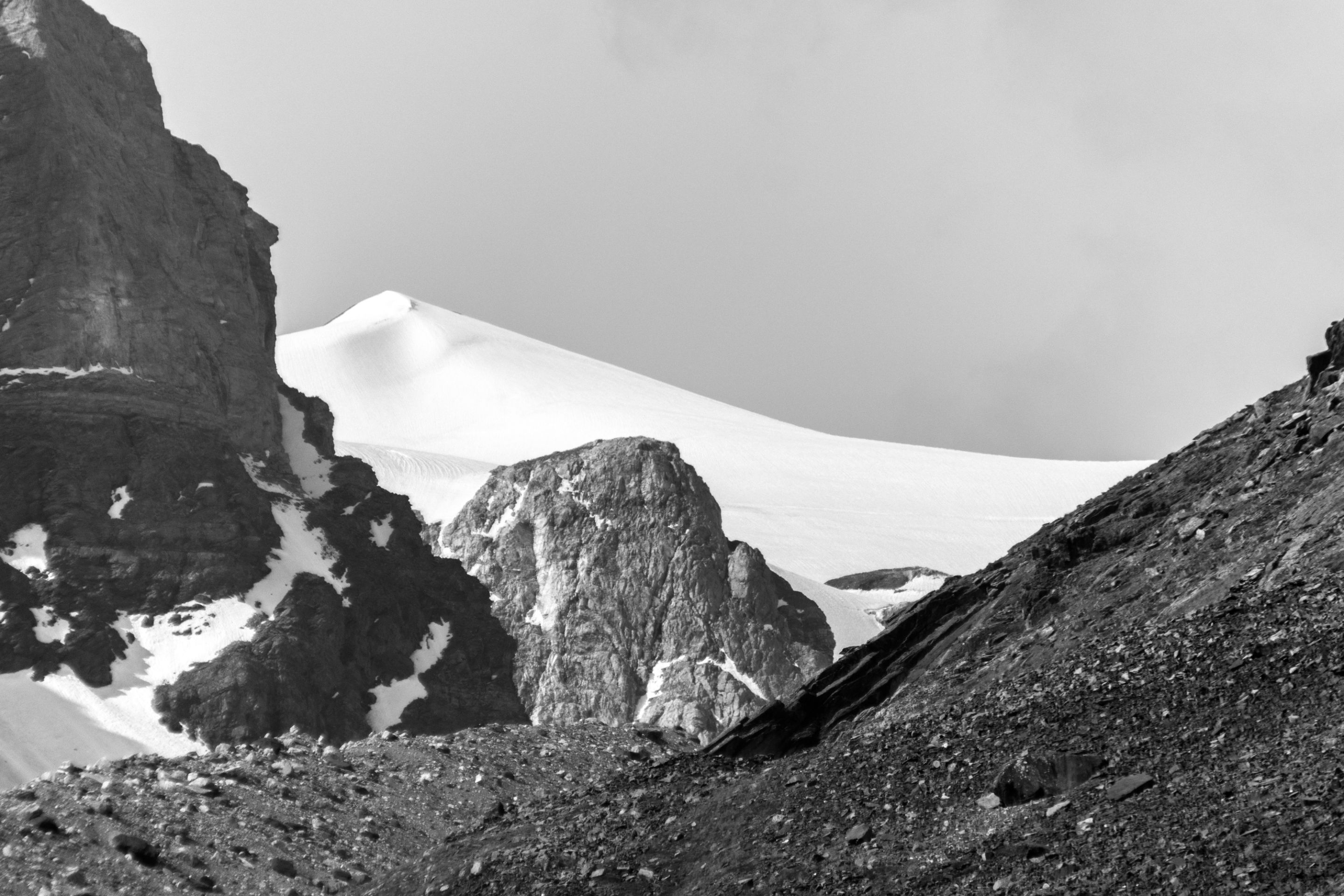 IMG_4870.jpg