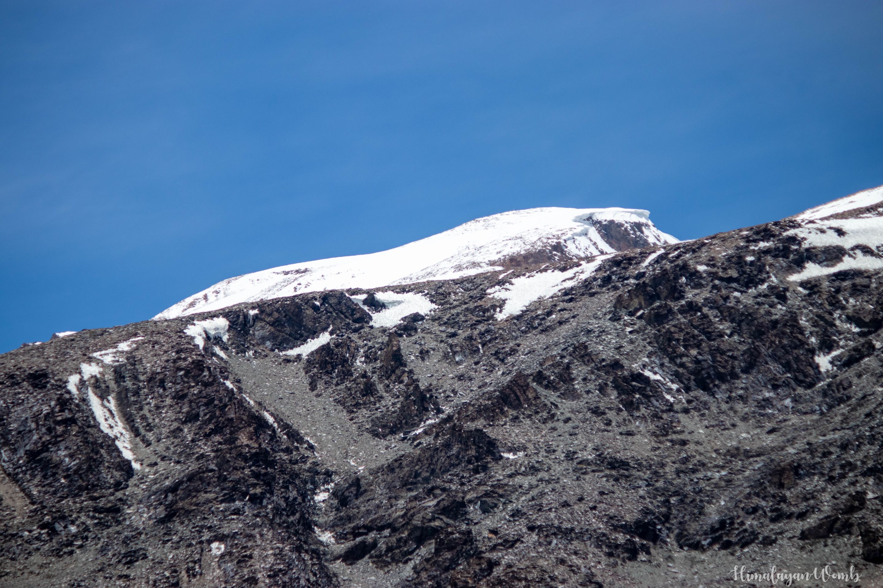 IMG_9496.JPG