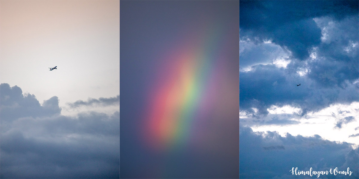 collage1.JPG