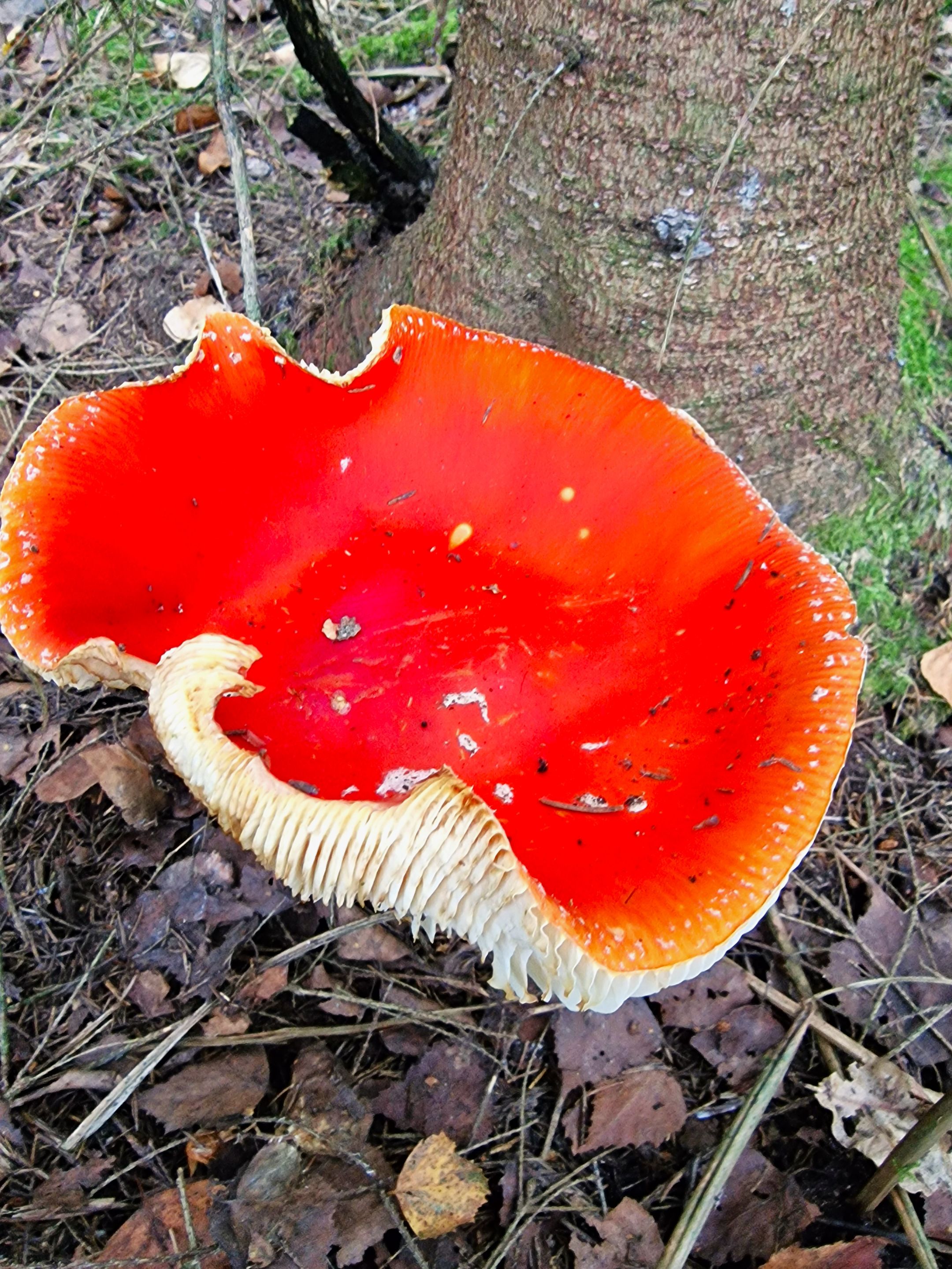 20240902_143146.jpg