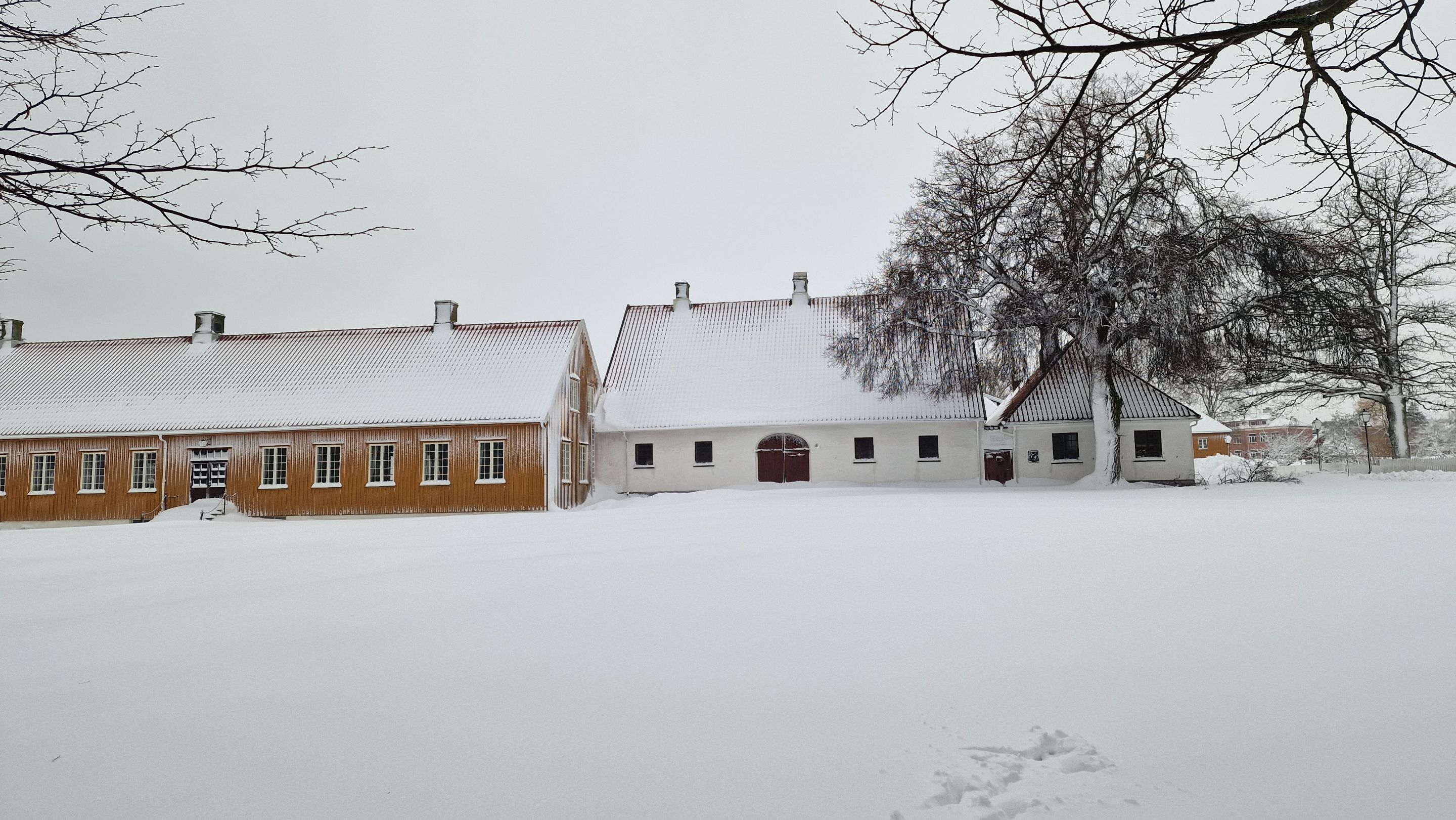 20230107_120211.jpg