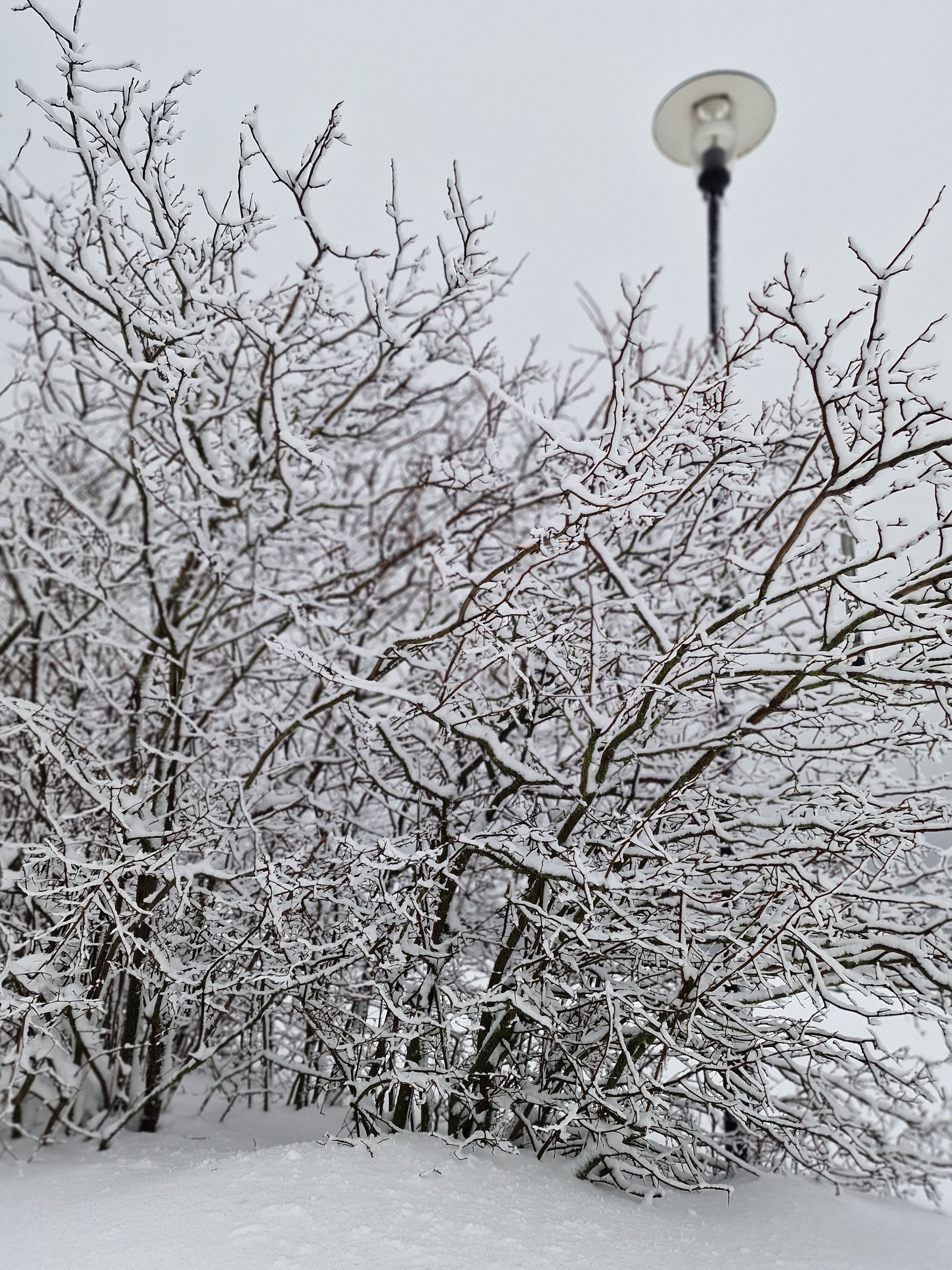 20230107_113732.jpg
