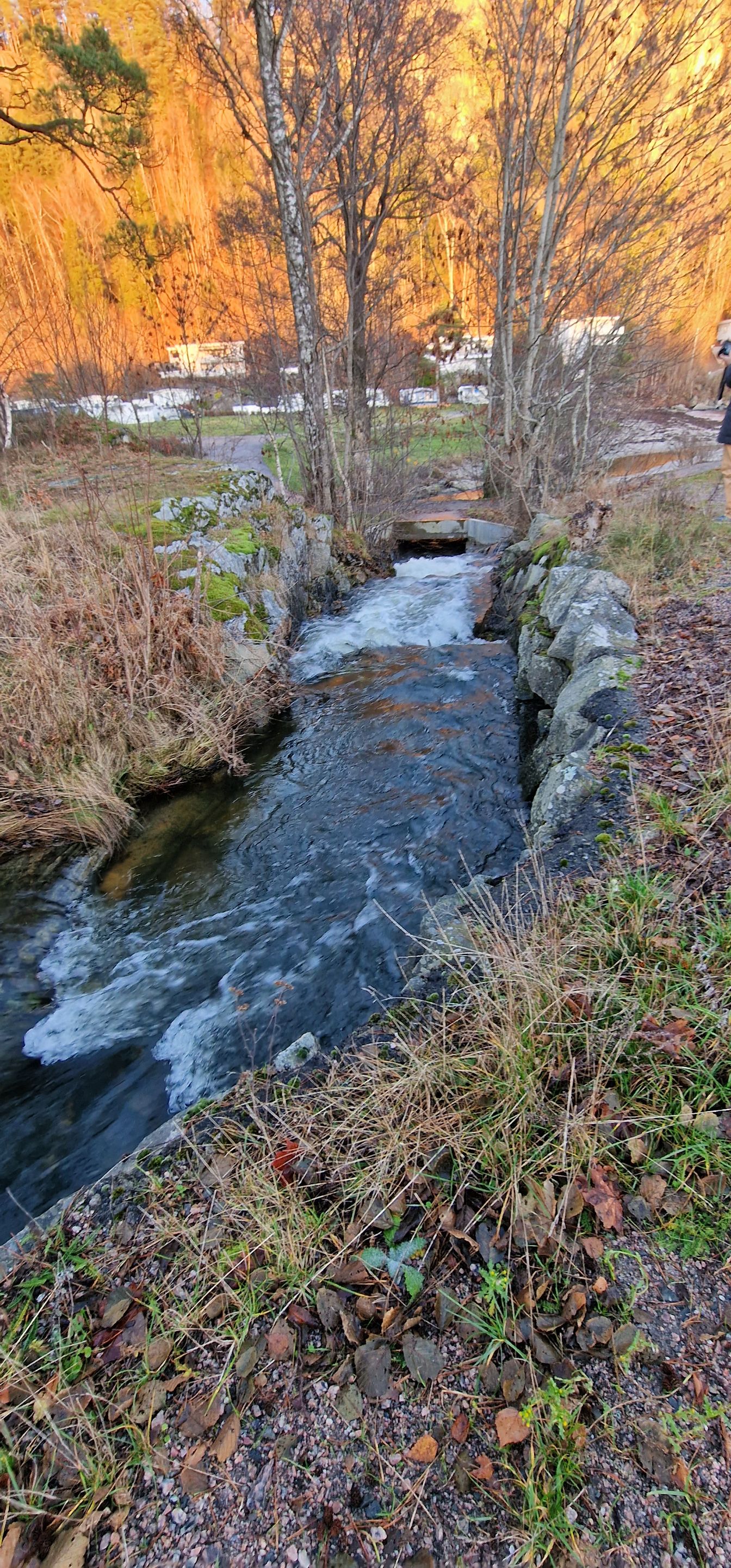 r14.jpg
