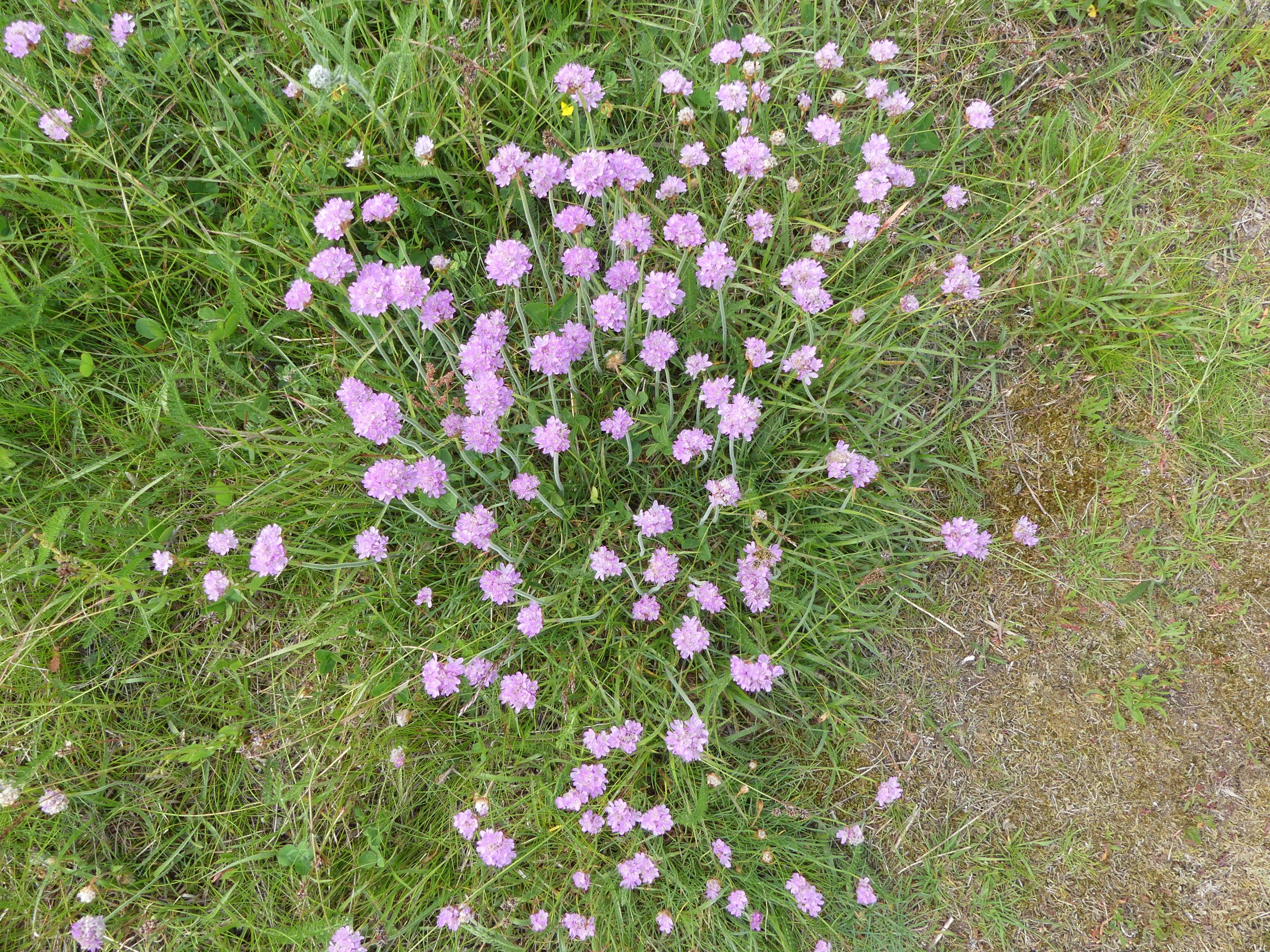 P1270639.JPG