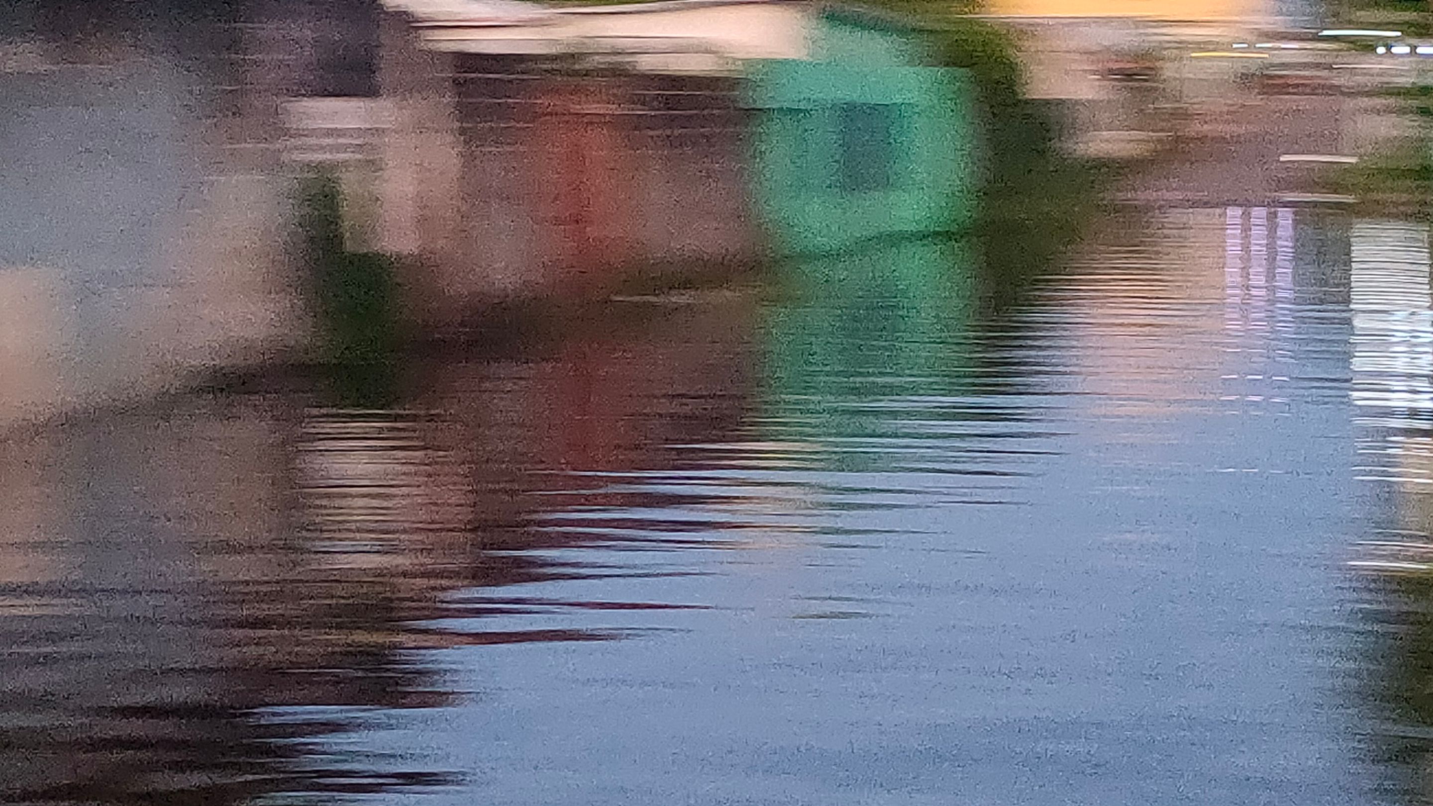IMG20250731185708.jpg