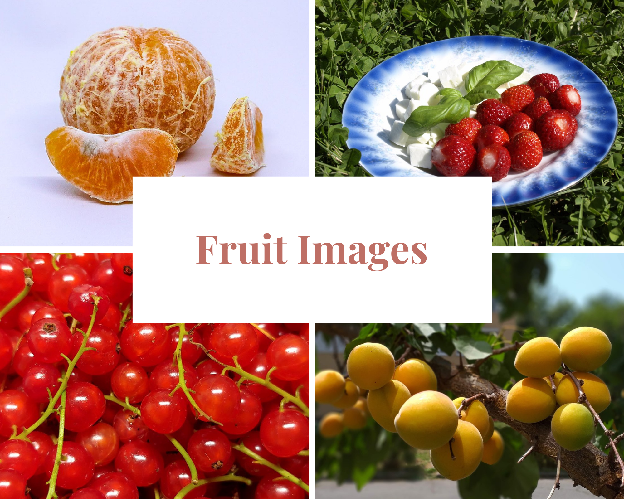 0001-4828629557_20210726_115045_0000.png