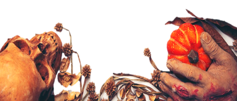 sep.png