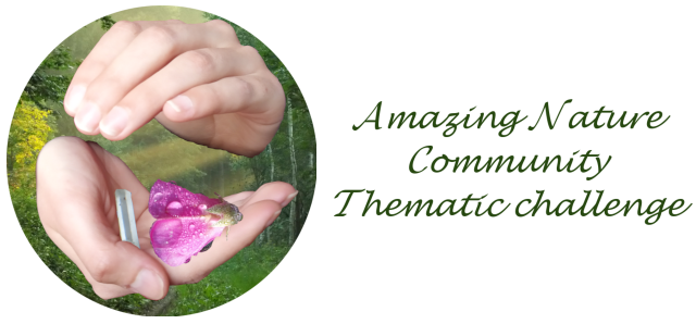 Amazing Nature Contest: Thematic Challenge - #4/4/21