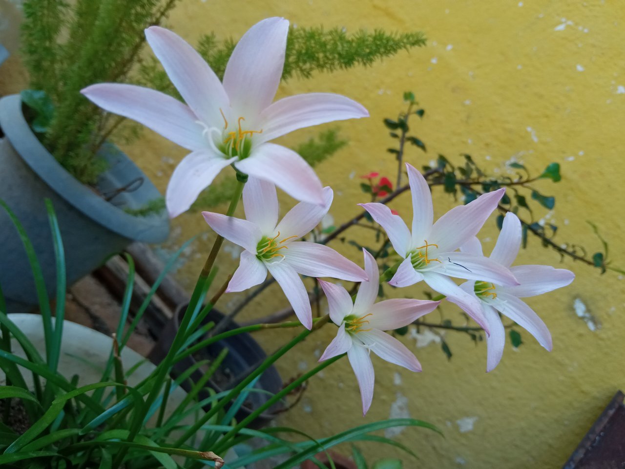 268BDBD7-E855-4AFF-8CD3-8D163C723E9B.jpeg