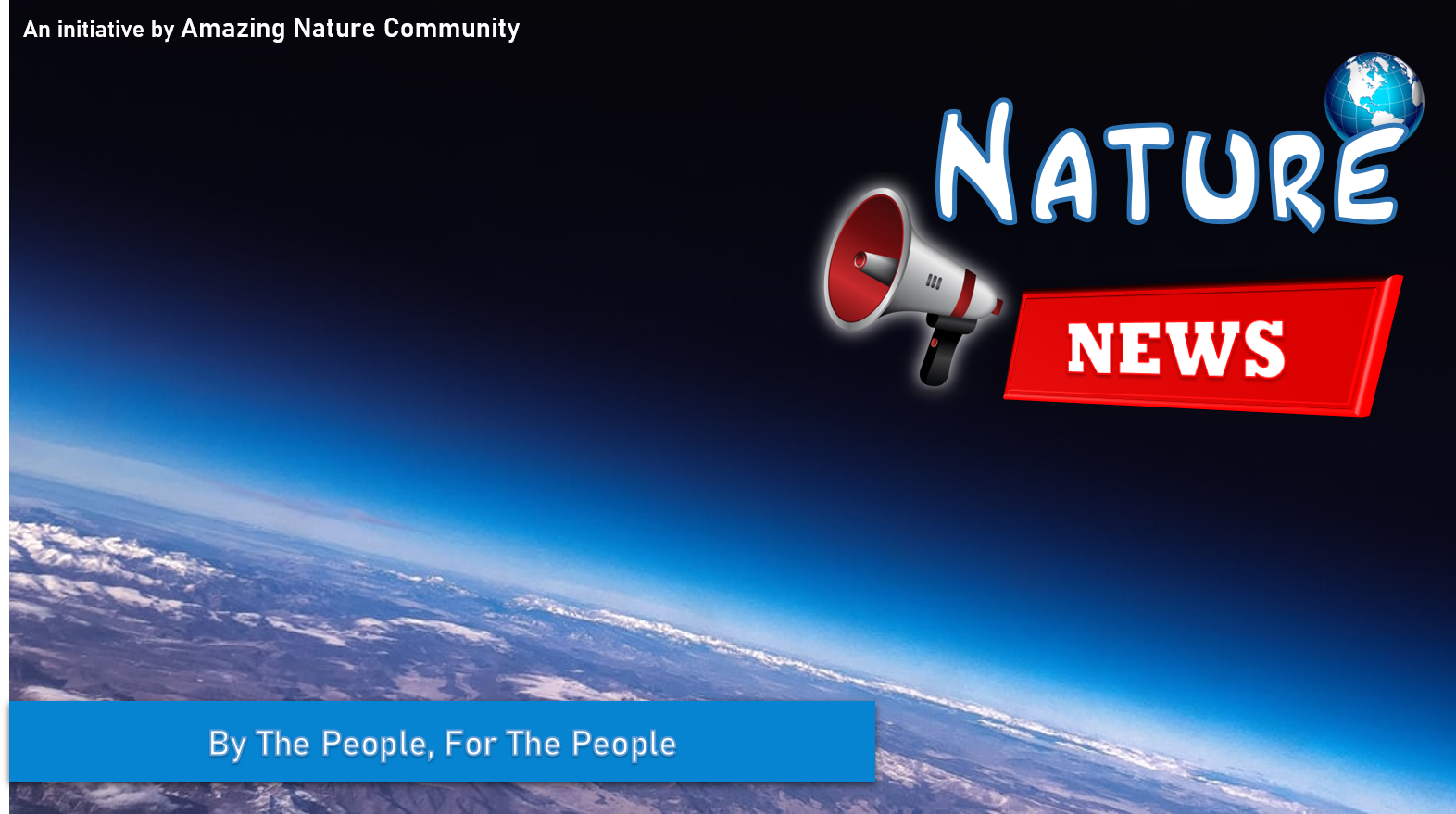 Nature News portada.png