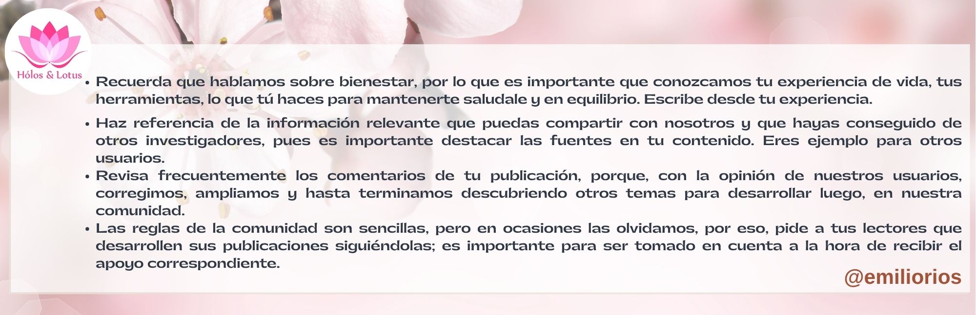 Frases.jpg