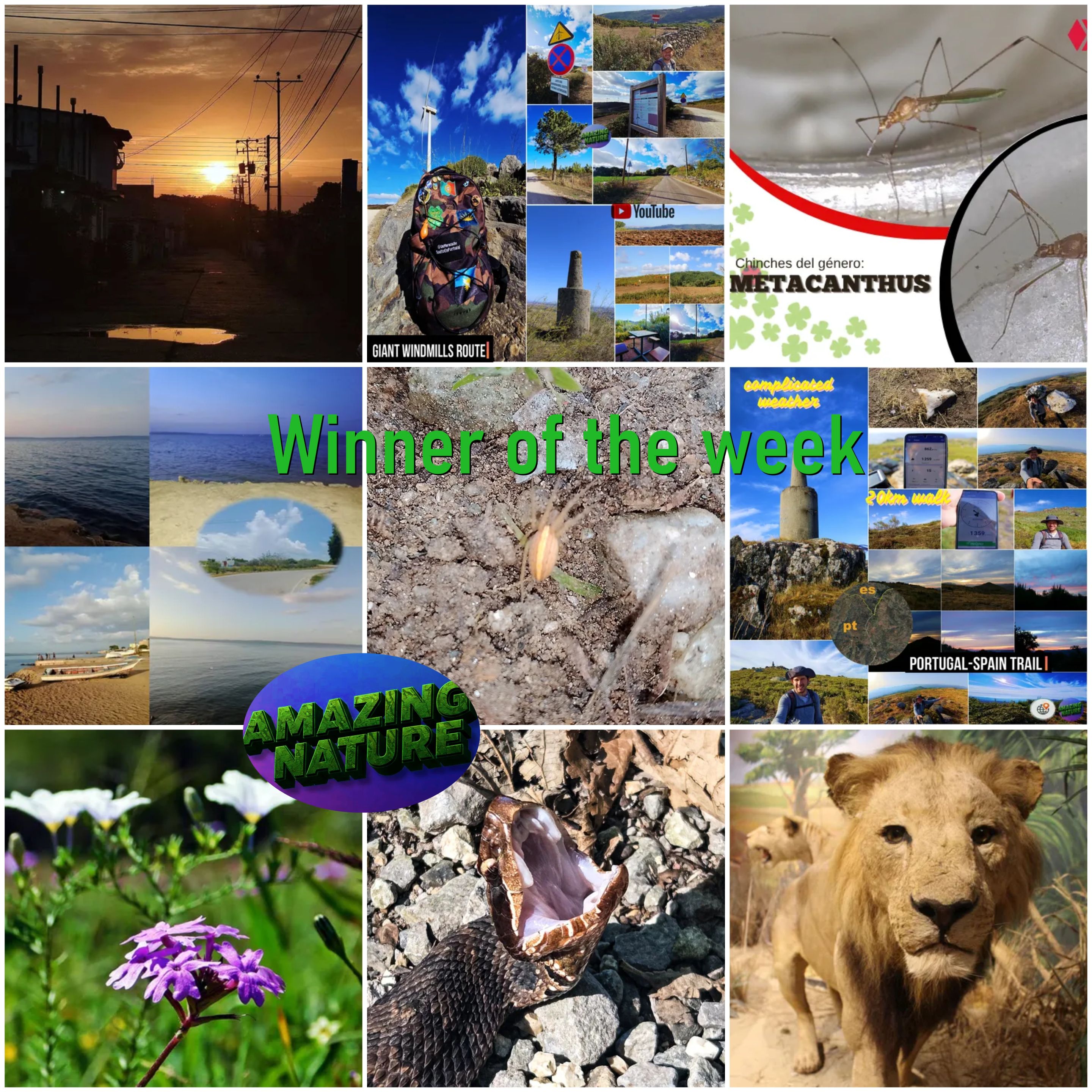 BeFunky-collage - 2025-10-07T100341.152.jpg